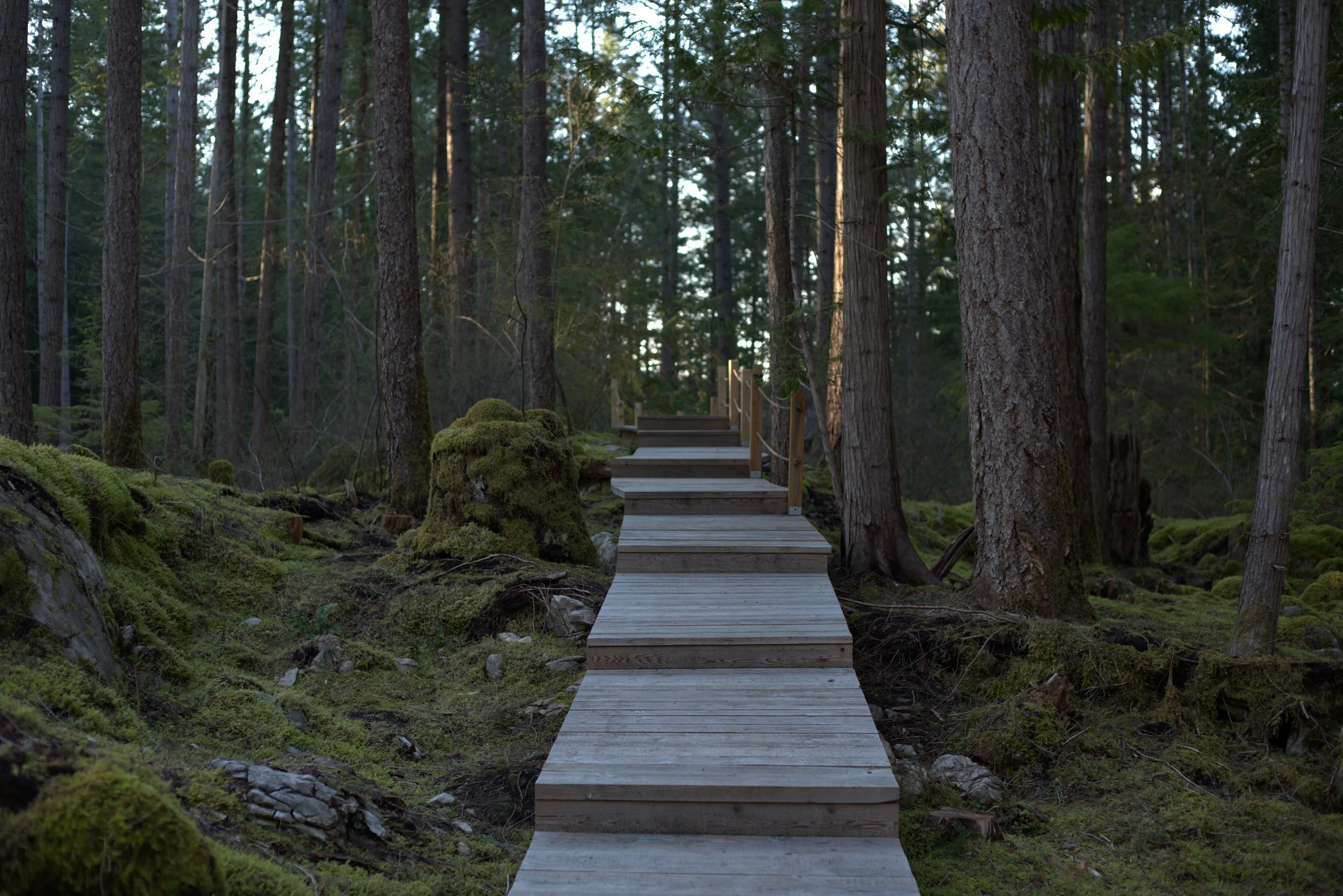 010A1150.jpg