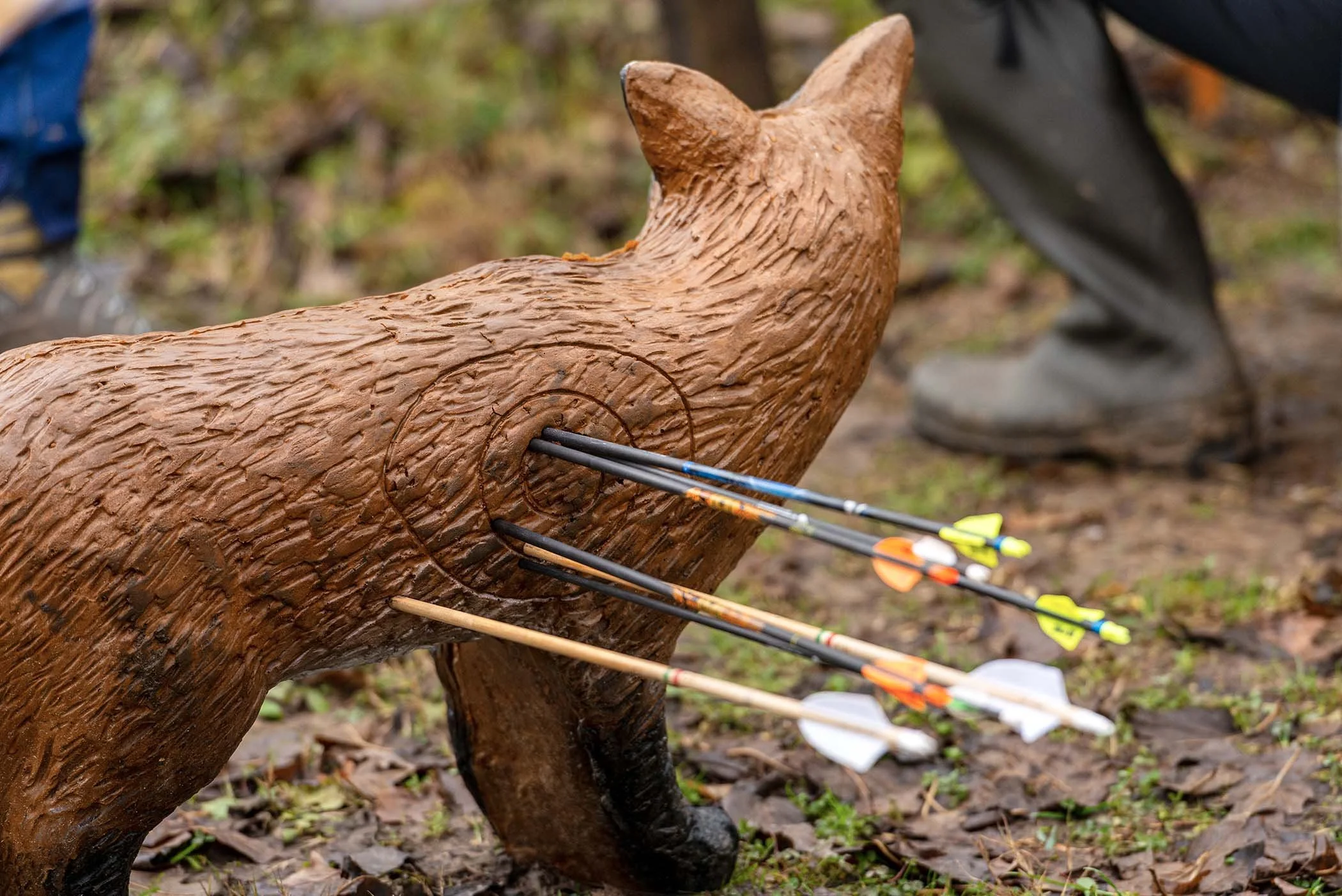 ArcheryTarget.jpg