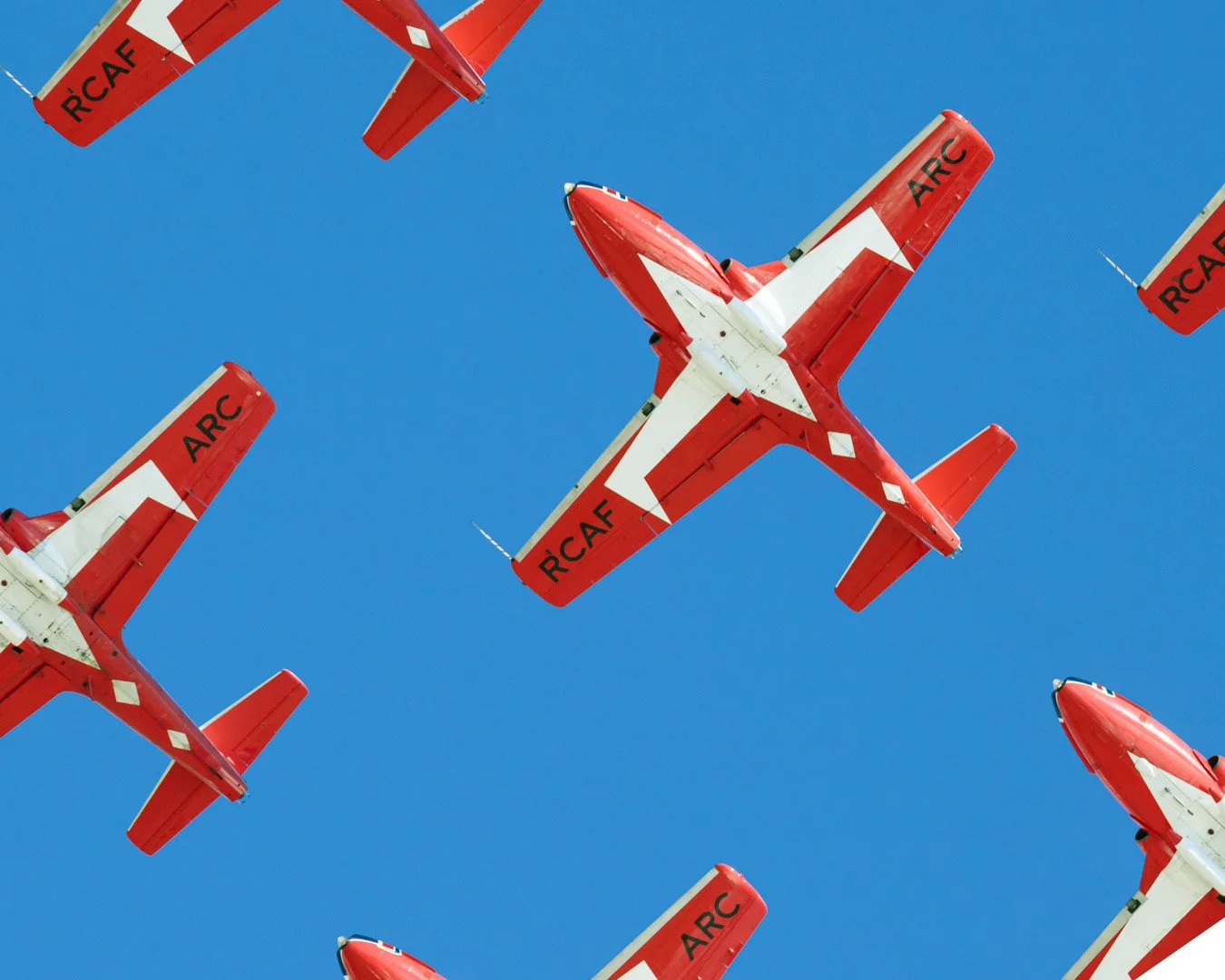 The Canadian Forces Snowbirds (CA)