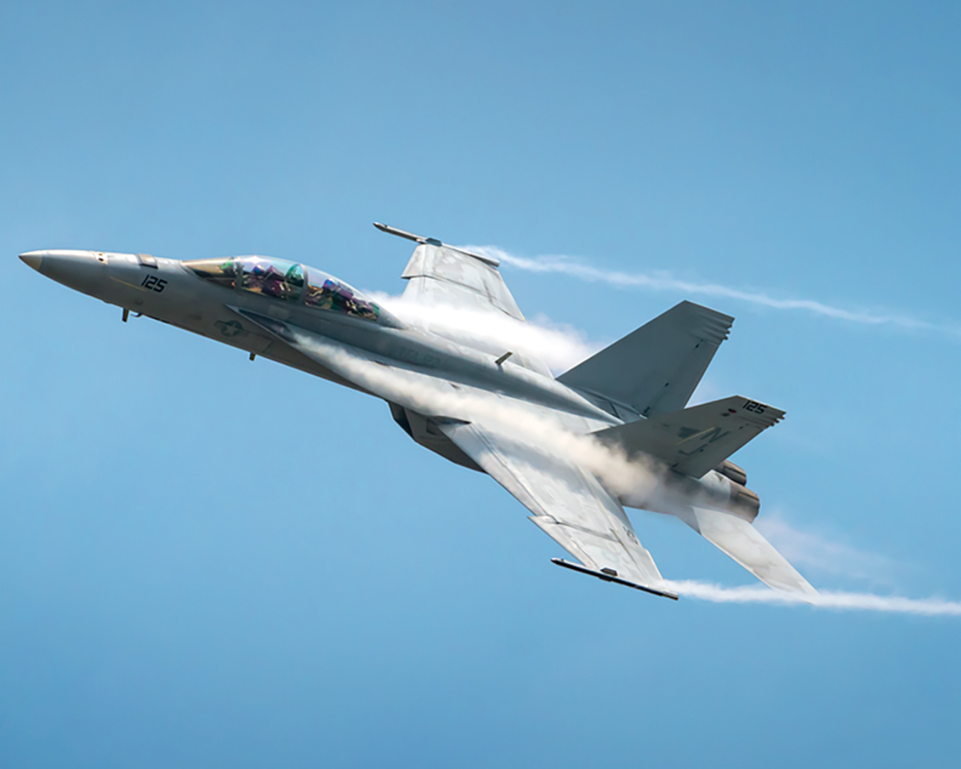 United States Navy F/A-18 West Coast Rhino Demo Team