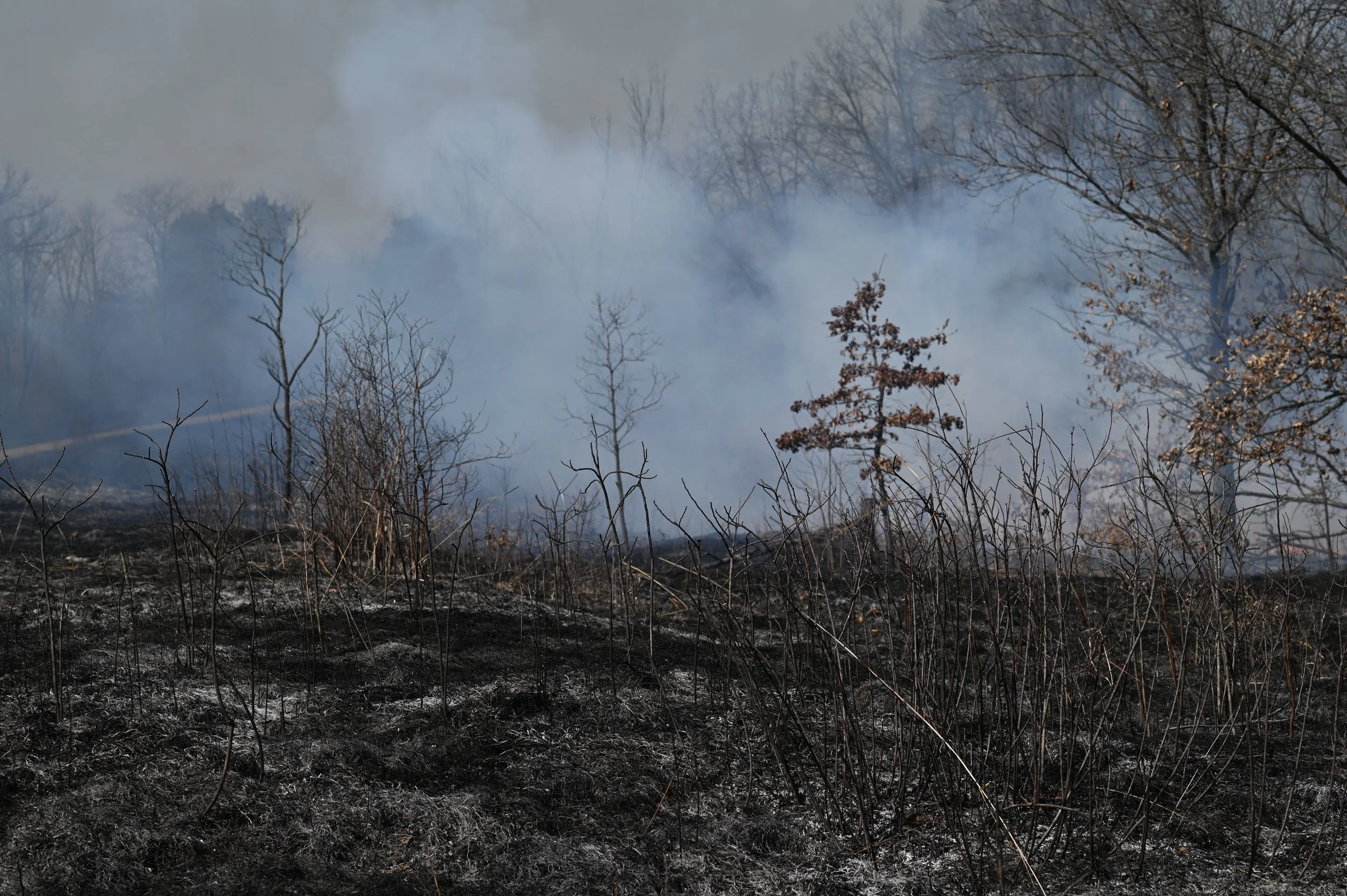 20250312PrescirbedBurnMDC _AS_0151.JPG