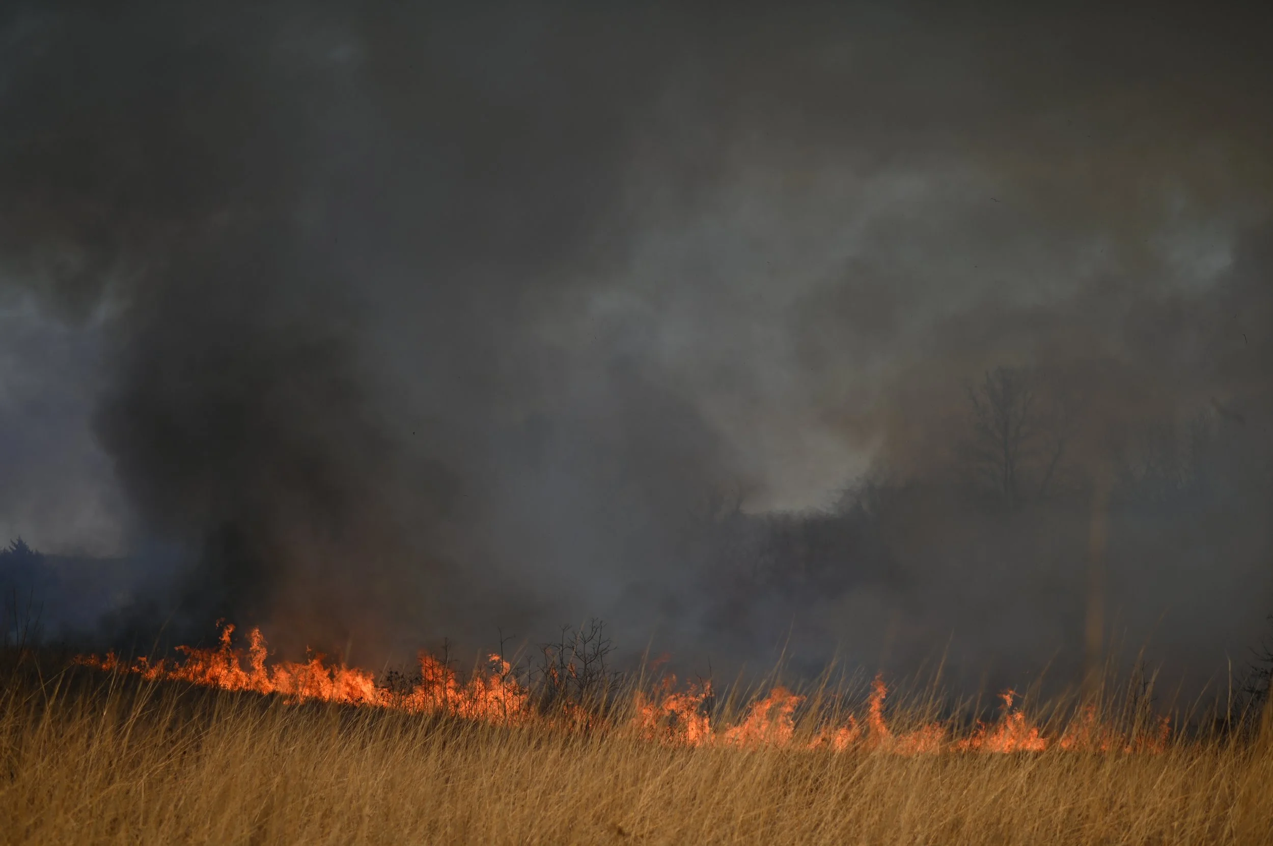 20250312PrescirbedBurnMDC _AS_0030.JPG