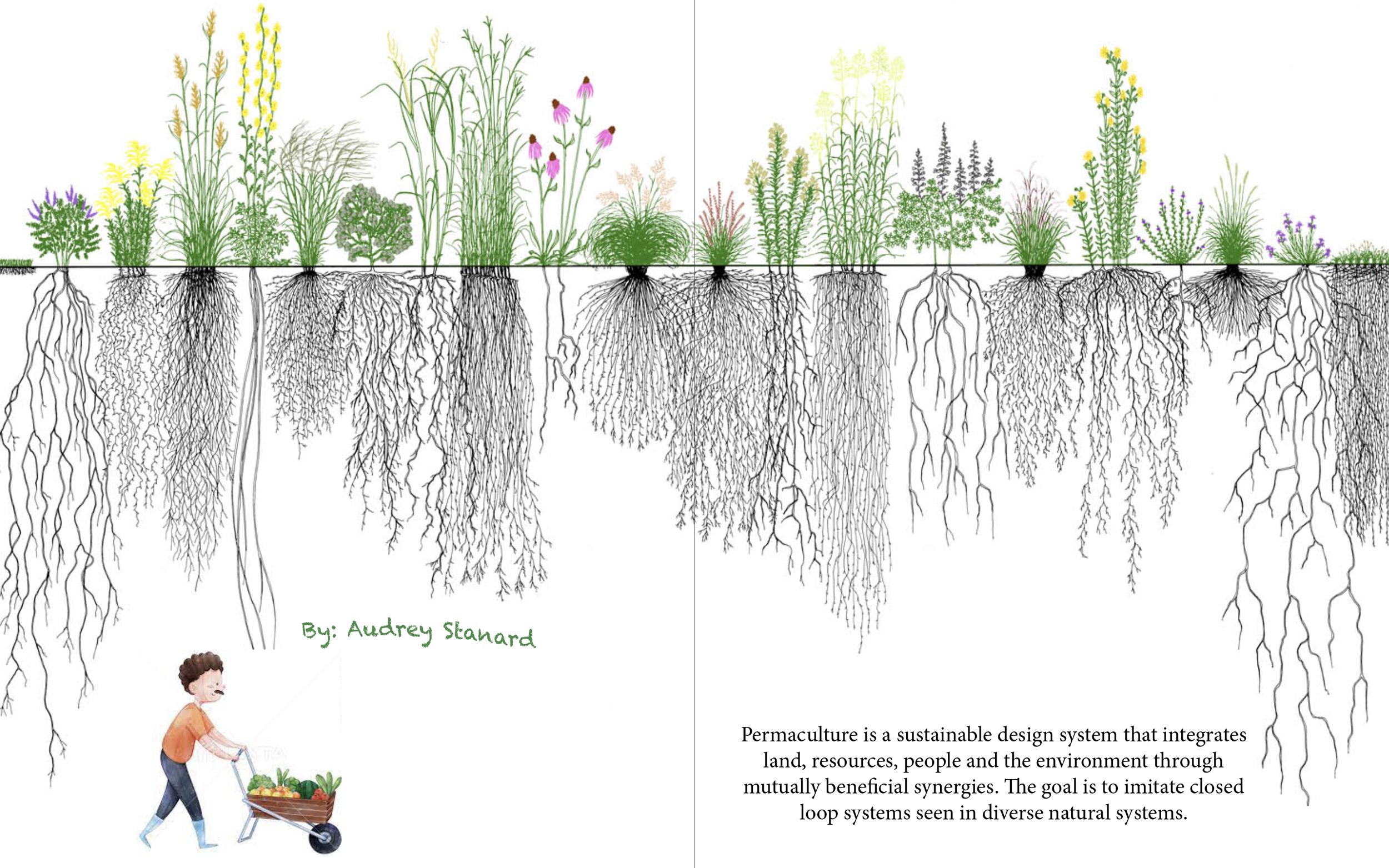 Screen Shot 2023-05-09 at 11.39.45 AM.png