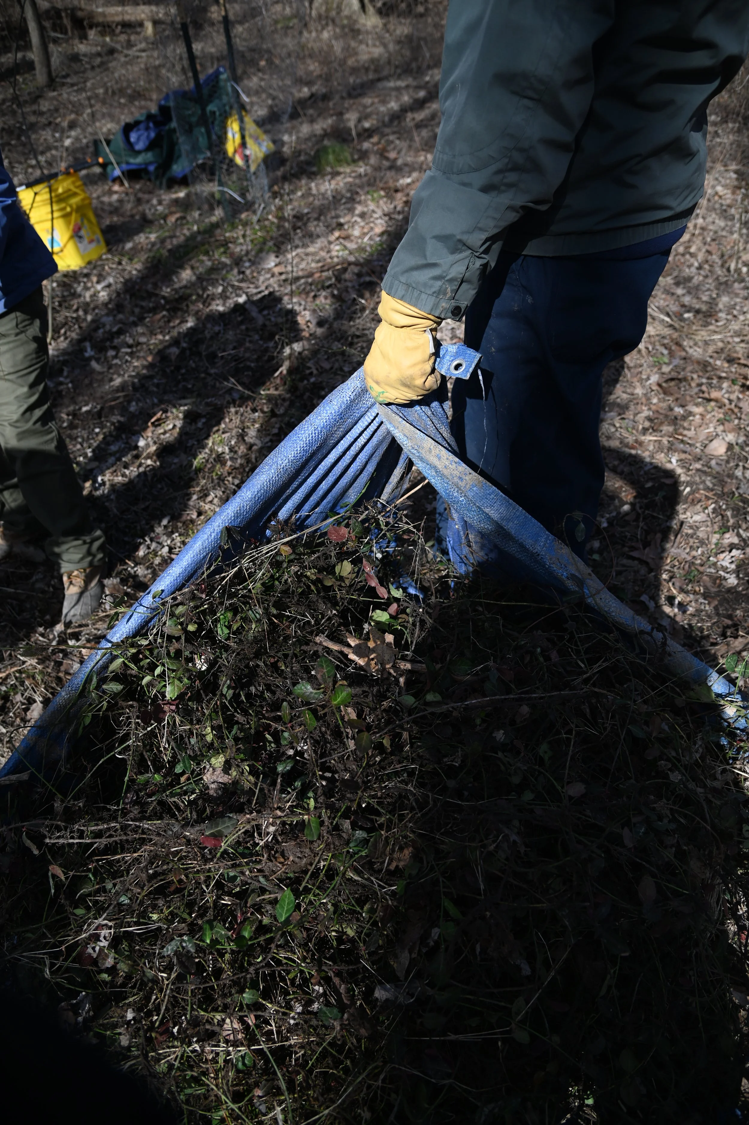 20250301OpenSpaceSTLStVincent _AS_0062.JPG