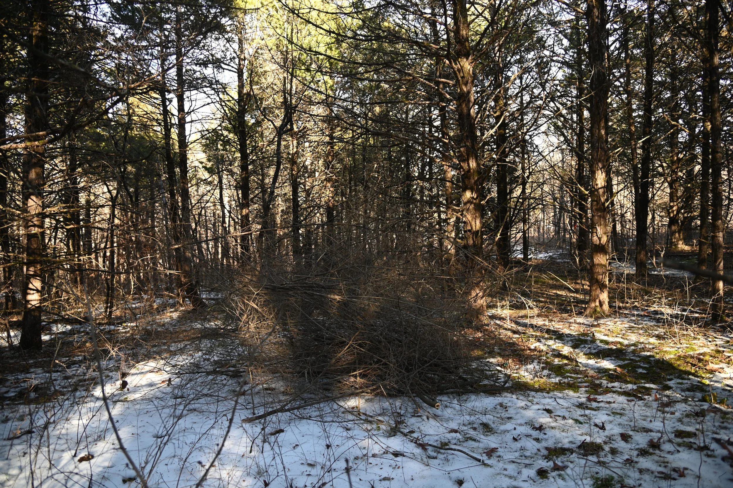 20250129rockbridgememorial_AS_0315.JPG