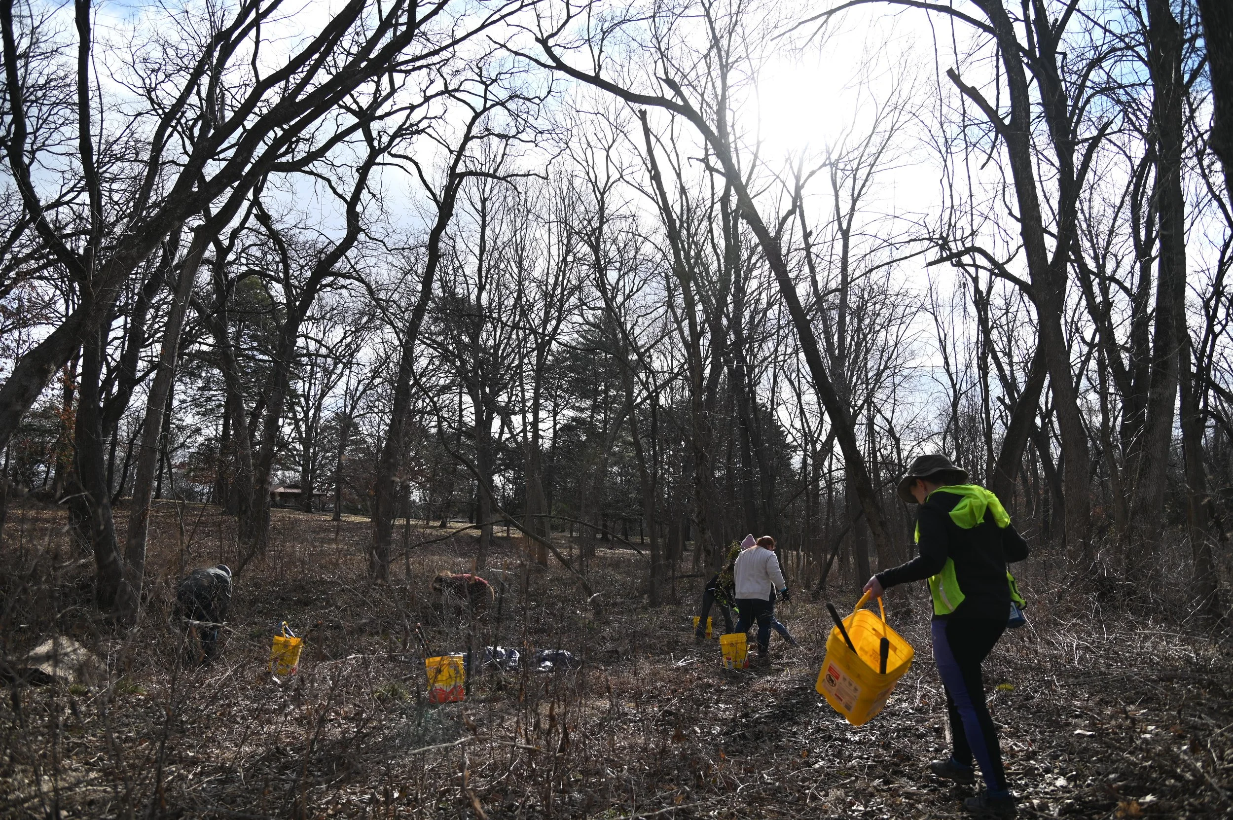 20250301OpenSpaceSTLStVincent _AS_0014.JPG