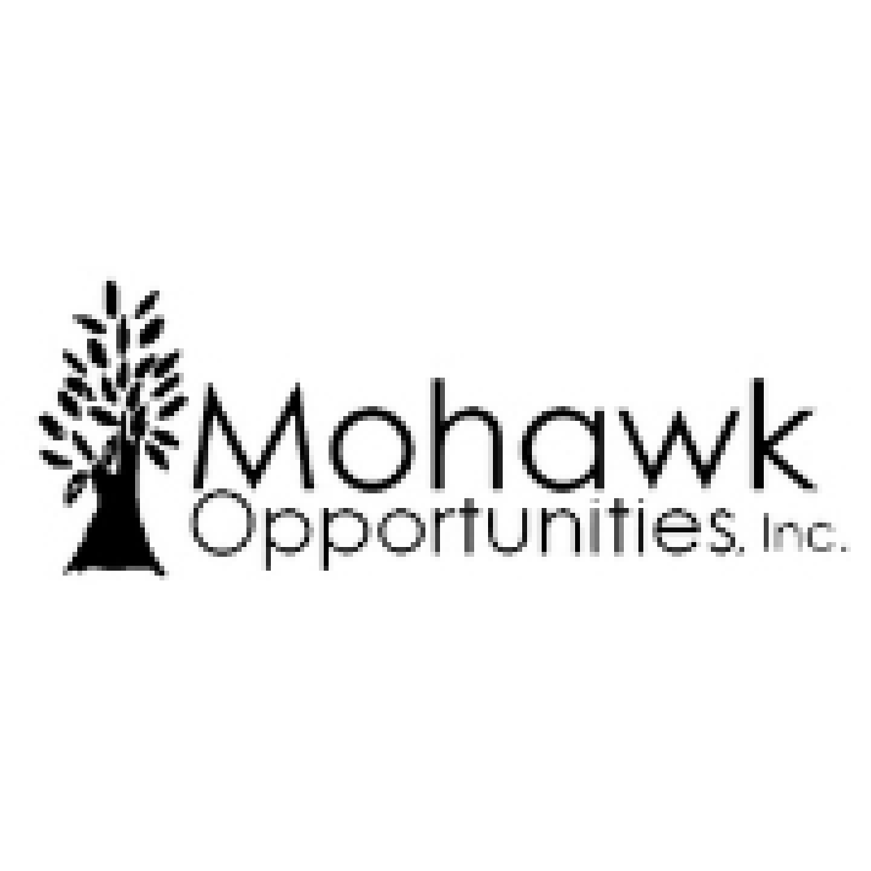 Mohawk Opportunities, Inc..png