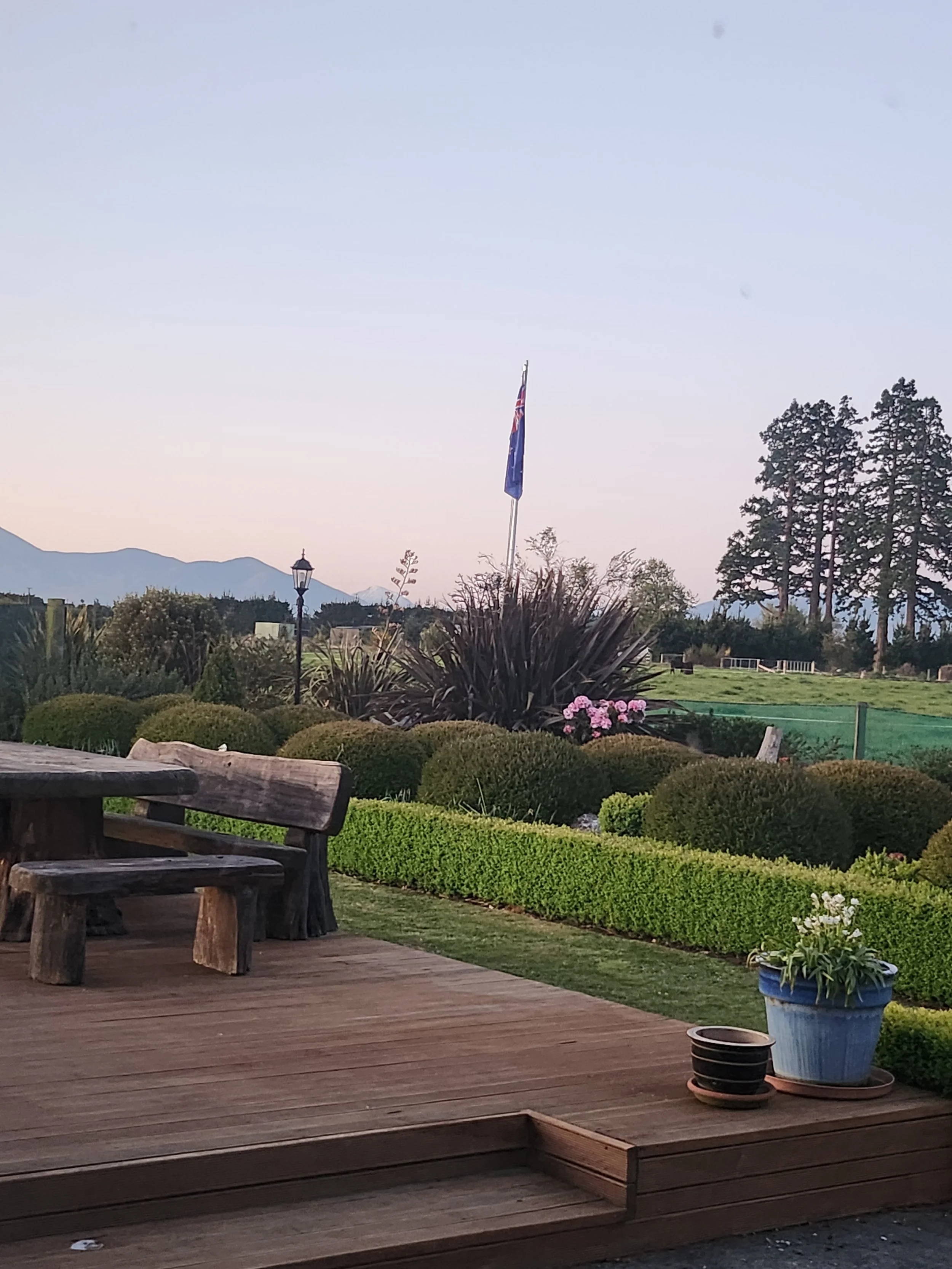 What’s been happening at Shandy’s, Spring 2025…