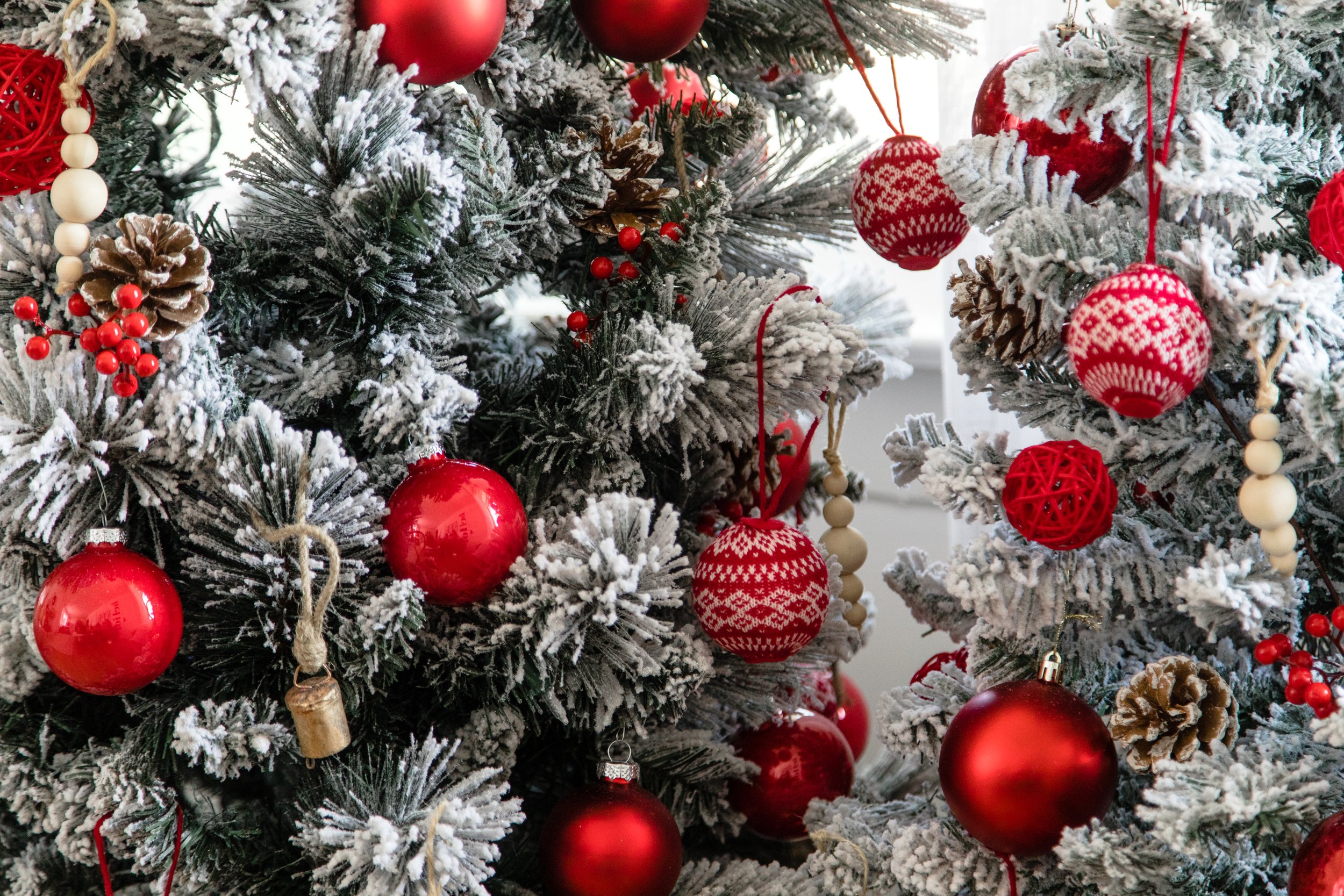 2024christmas-50.jpg