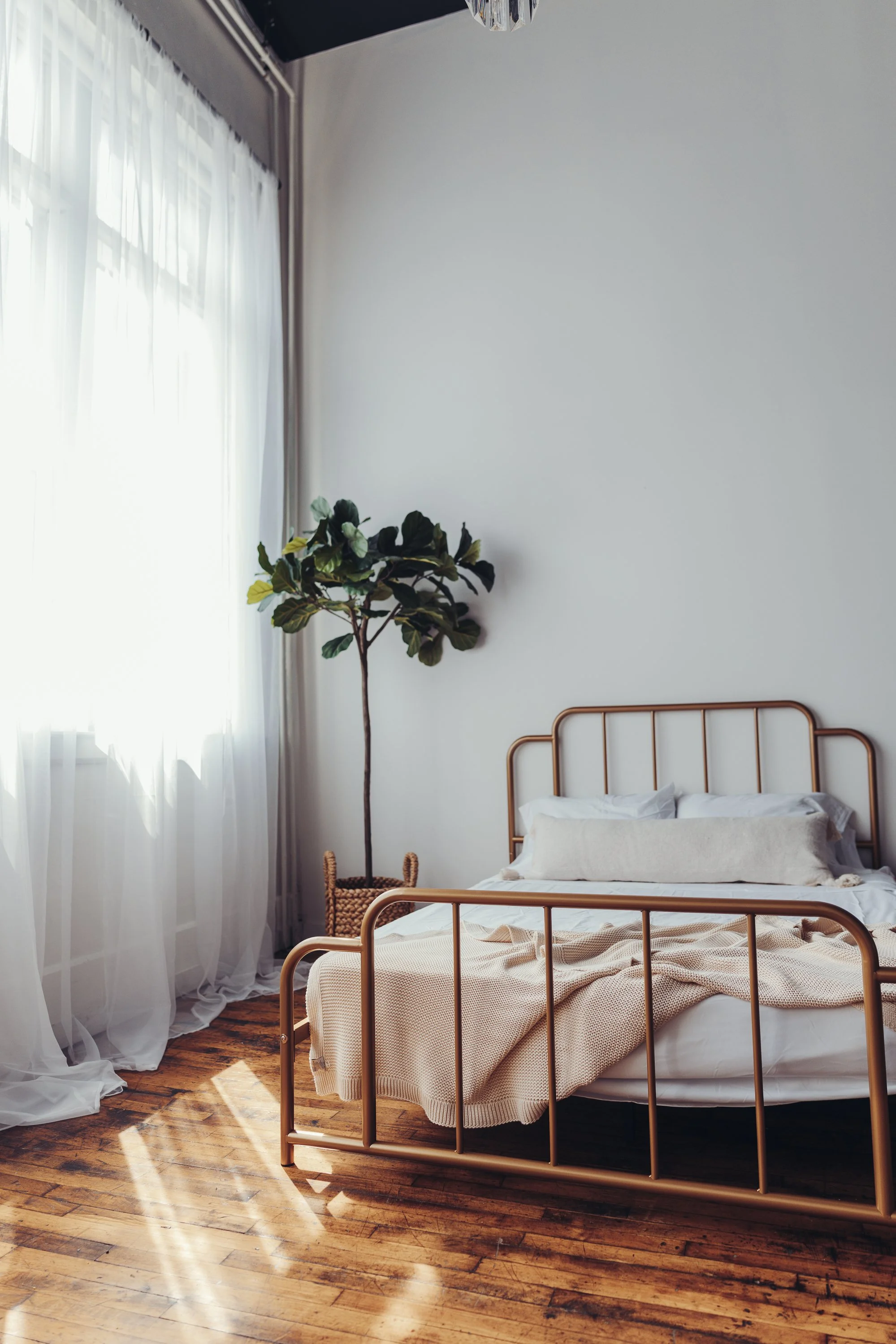 pontiacstudio-20.jpg