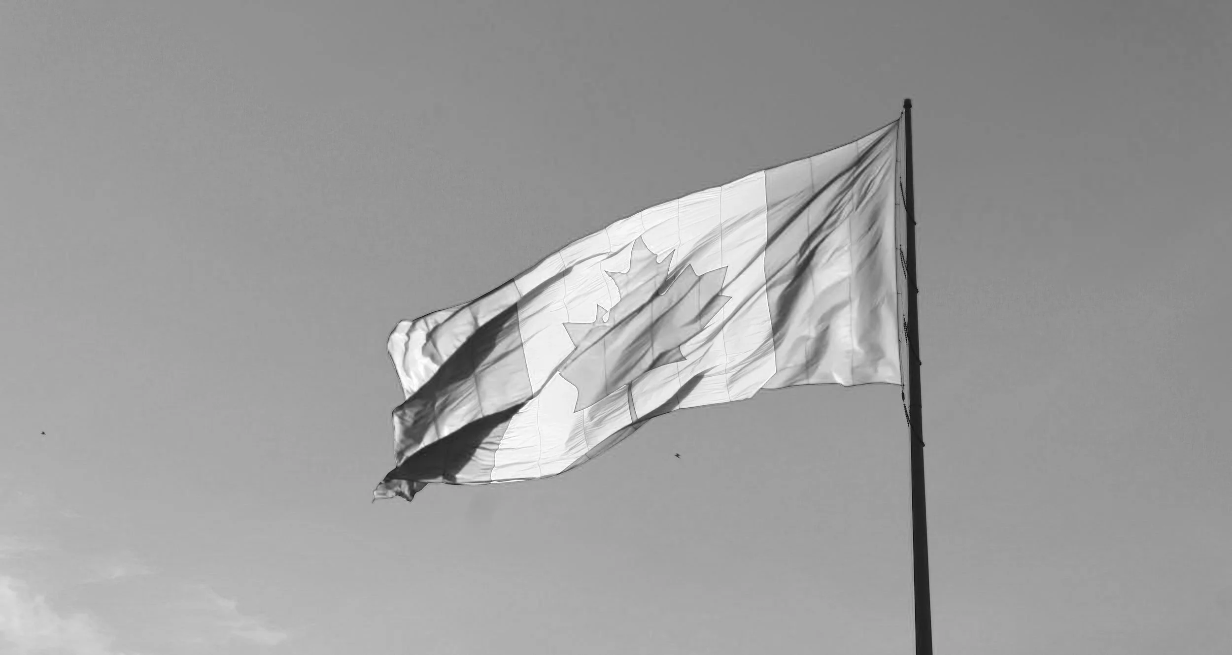 Canadian flag waving in the wind. This examples how there is little to no government funding for therapy in Ontario.