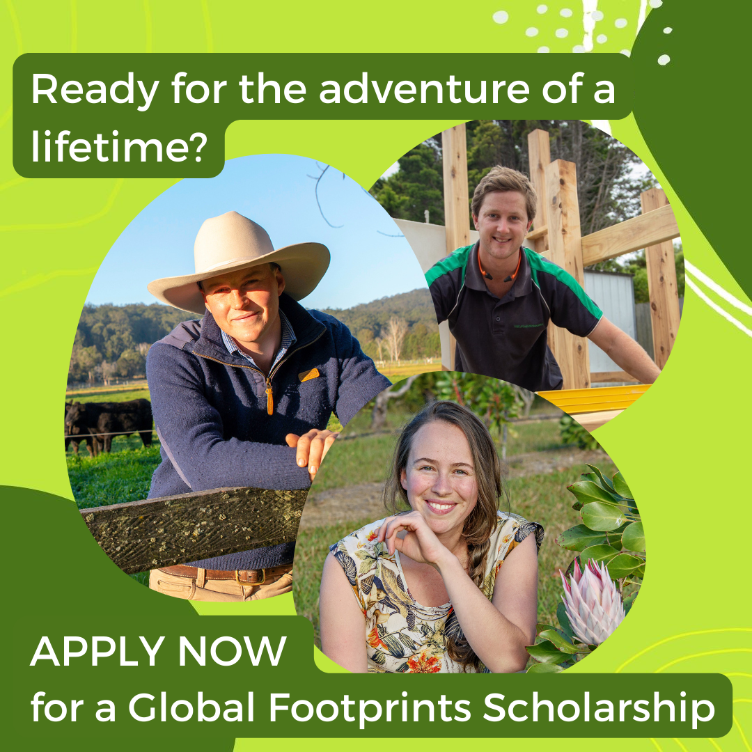 APPLY NOW - generic.png