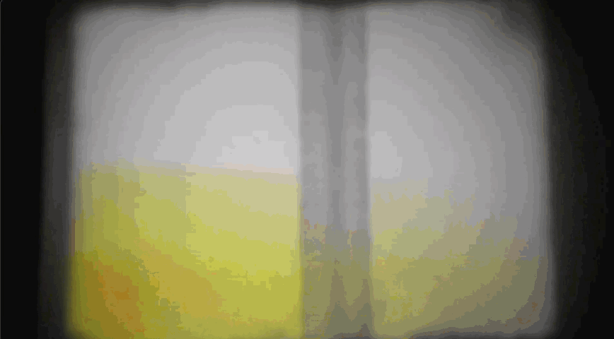 Halifax hip hop video introduces The Donair Dance to the Chinese community.