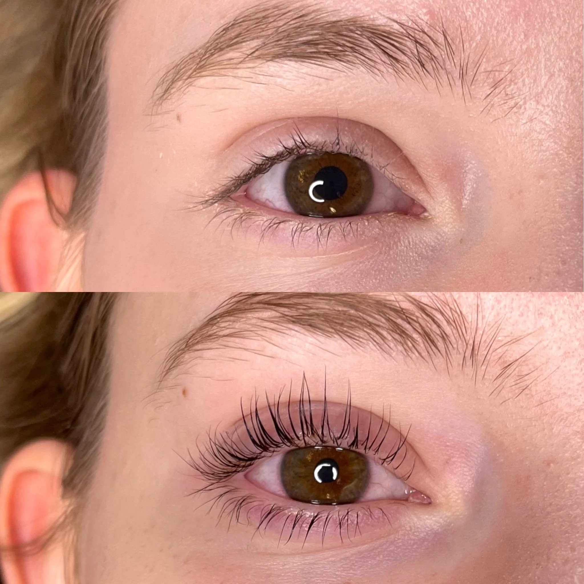 Lash Botox Lift & Top + Bottom Tint
