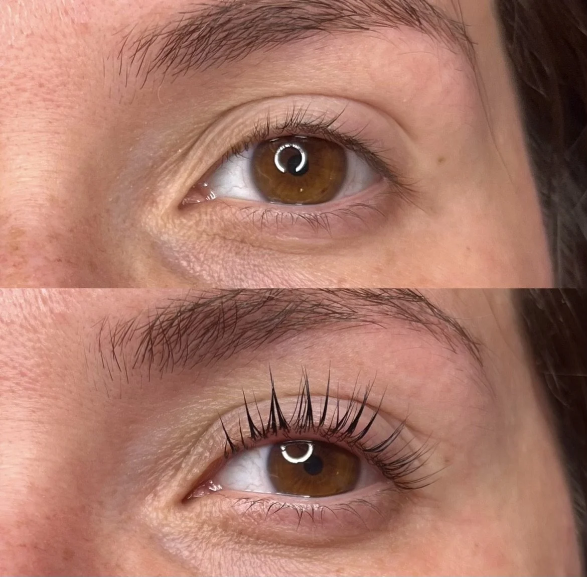 Lash Botox Lift & Tint