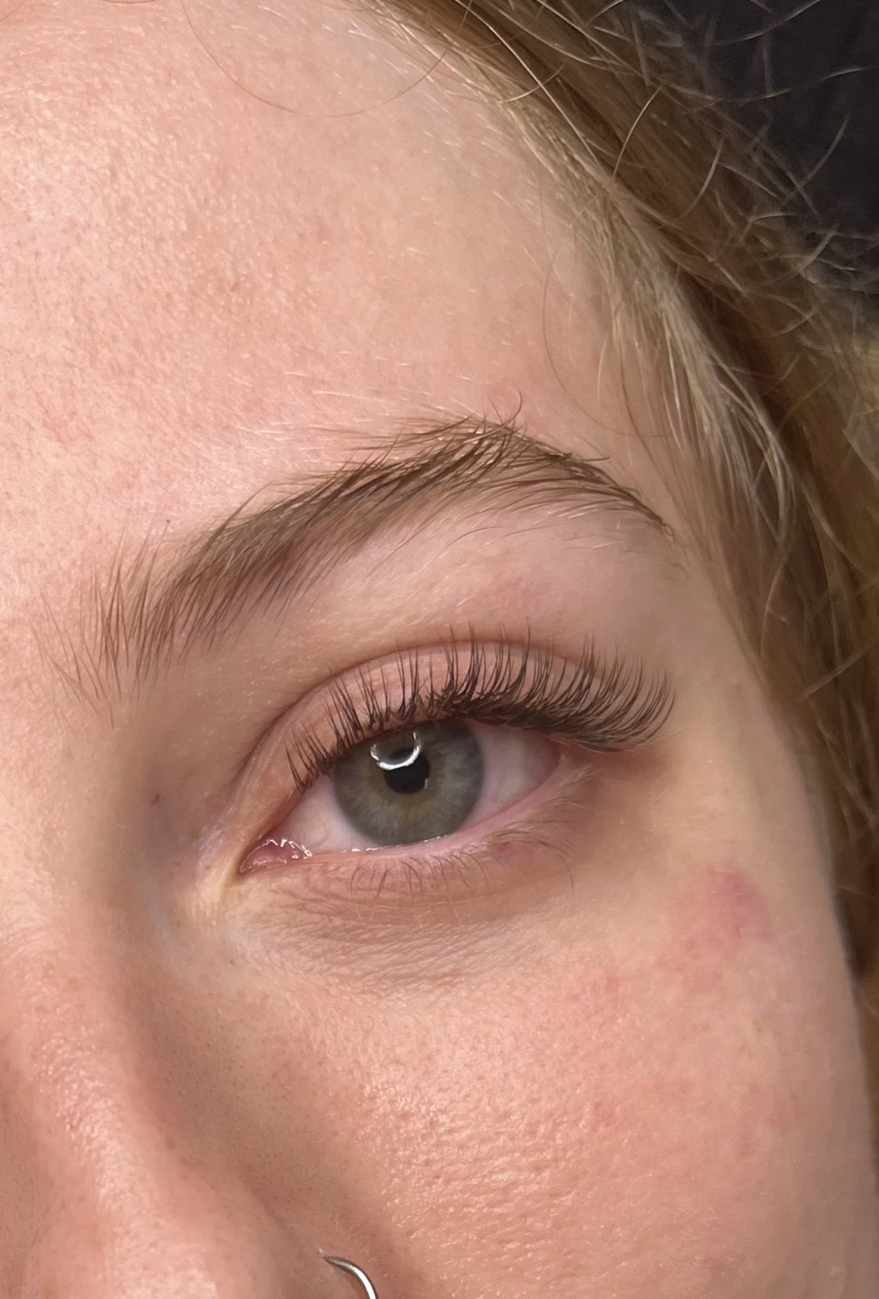 Classic Set - Brown Lashes