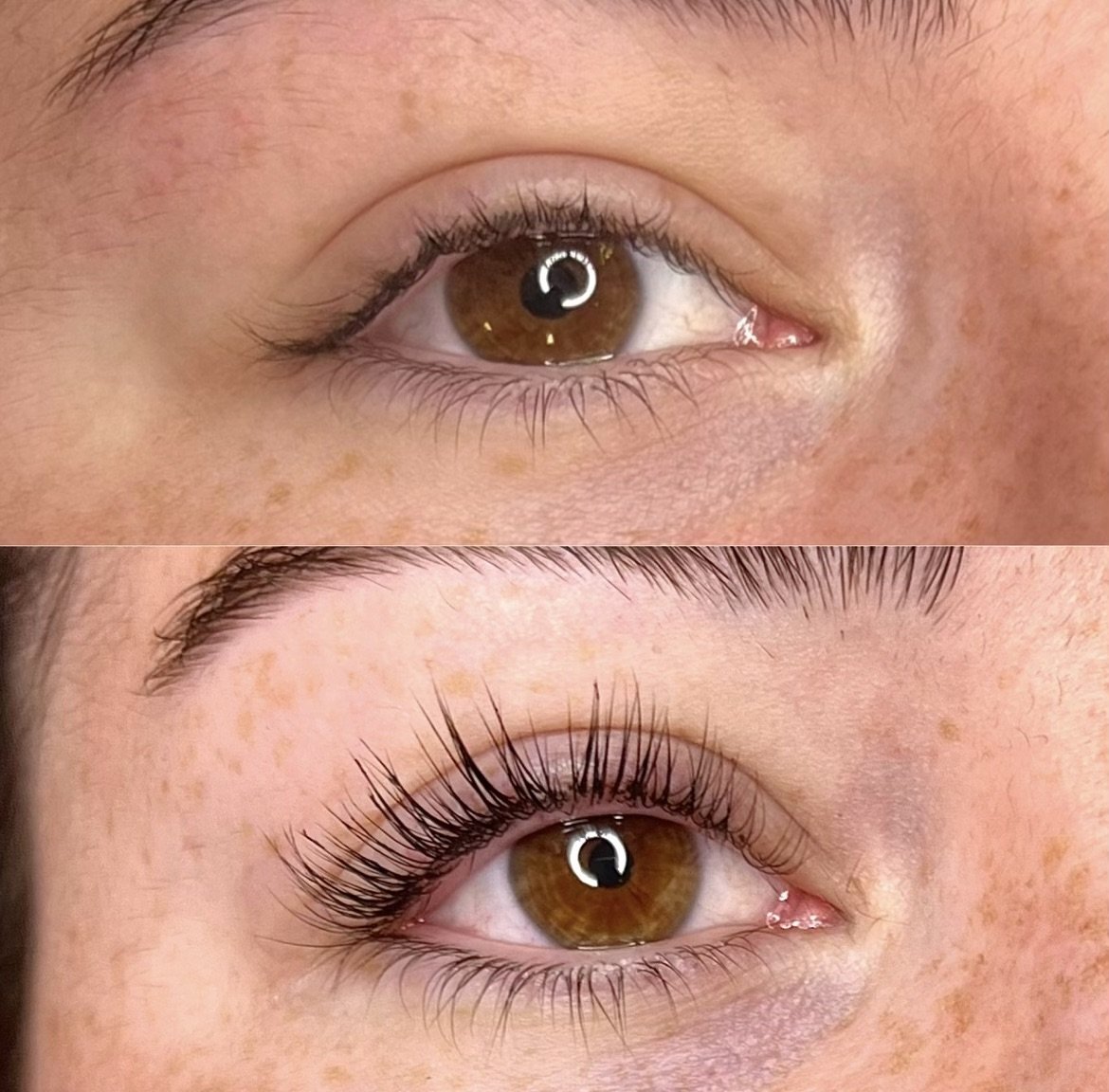 Lash Botox Lift & Tint