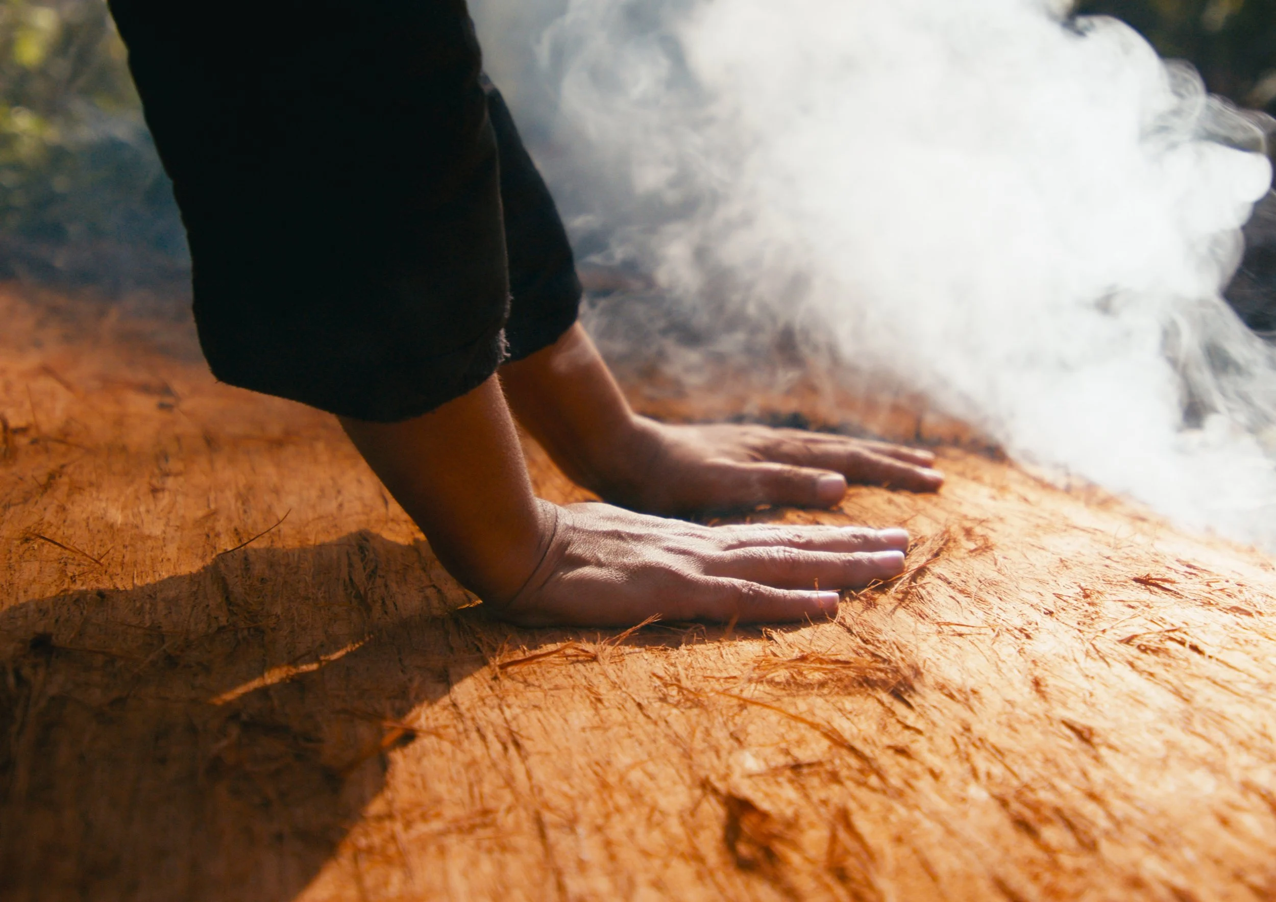 Eden Local Aboriginal Land Council celebrates traditional canoe-making project