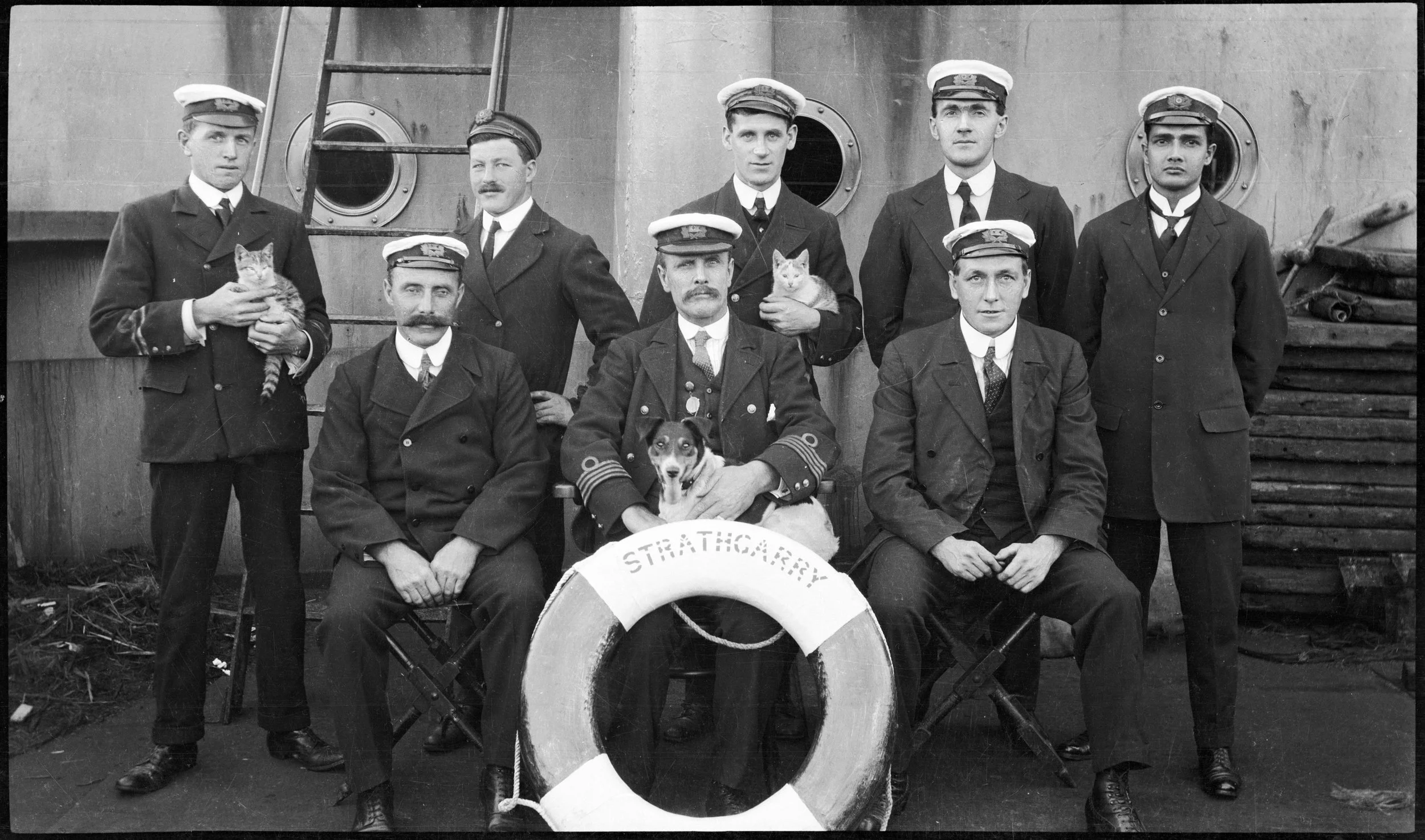 Cats &amp; Dogs: All at Sea opens at Albany's Historic Whaling Station