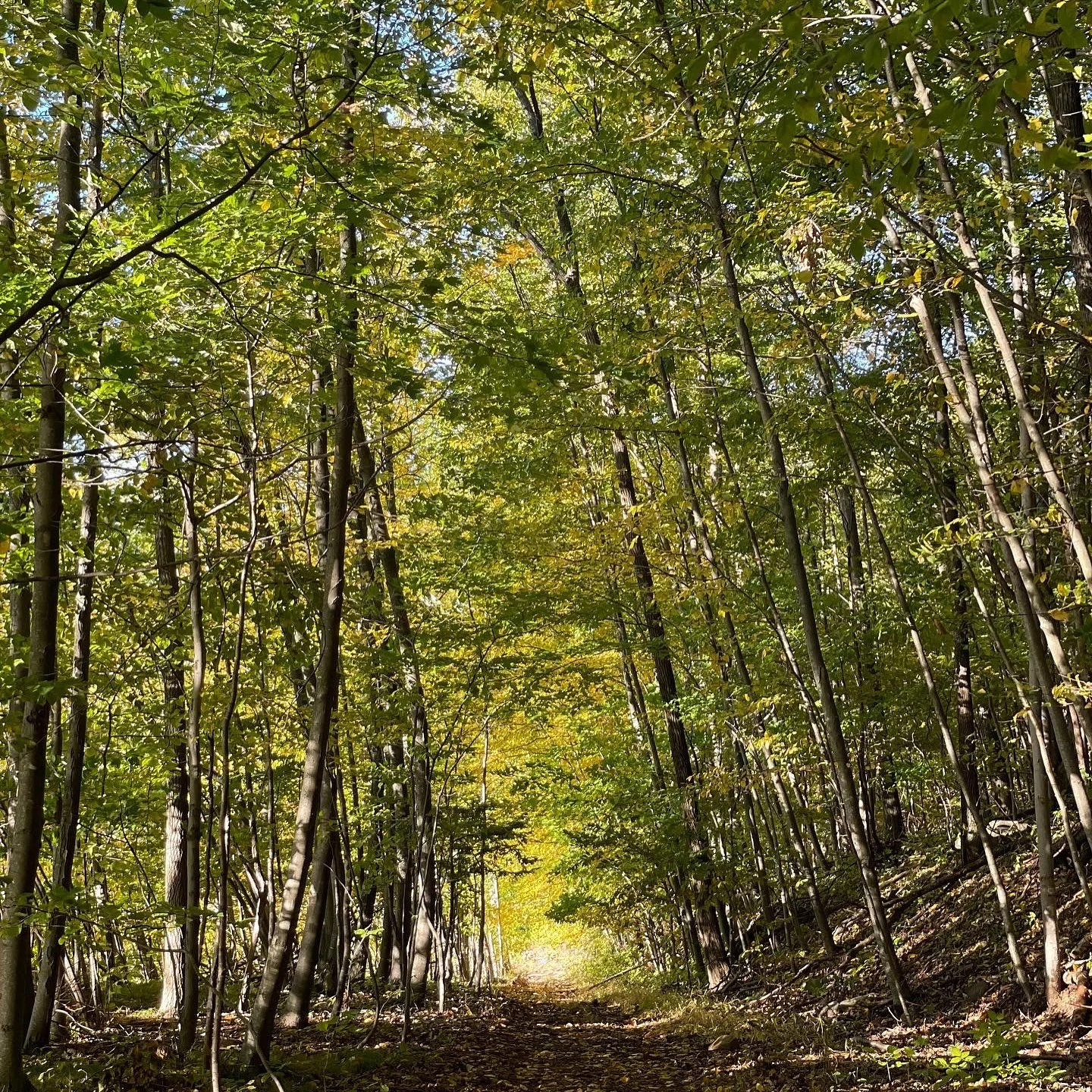 Minutes from the cider truck: shady hiking on the Metacomet Trail, kayak/paddle boarding at Crescent Lake, rock climbing at Ragged Mountain.