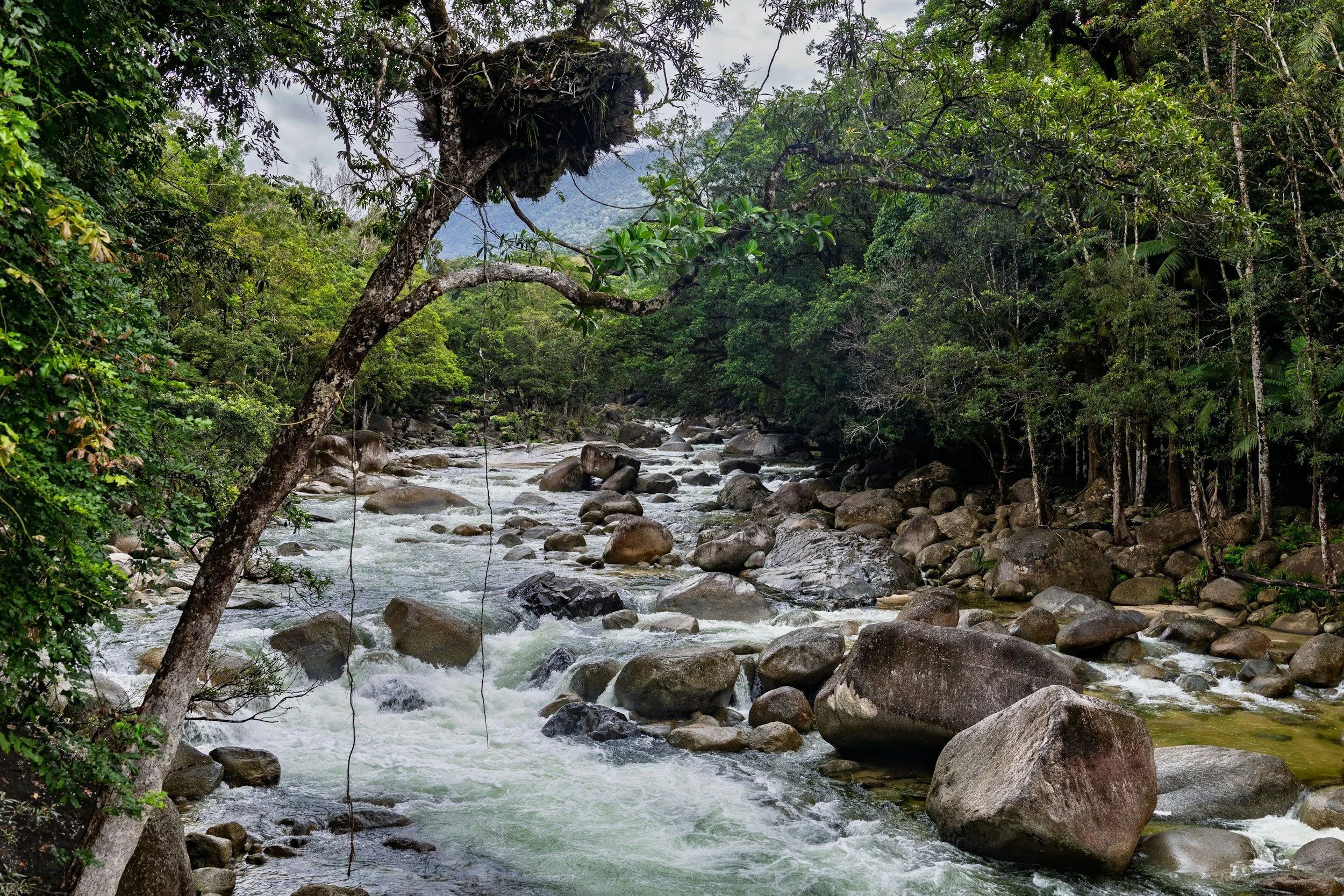 unsplash-image-rW5gncV7HJs.jpg