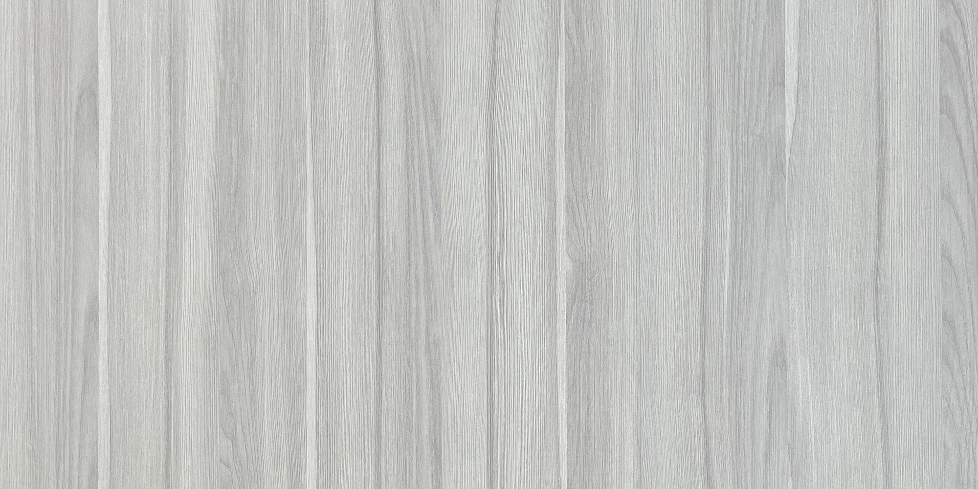 Silver Birch.jpeg