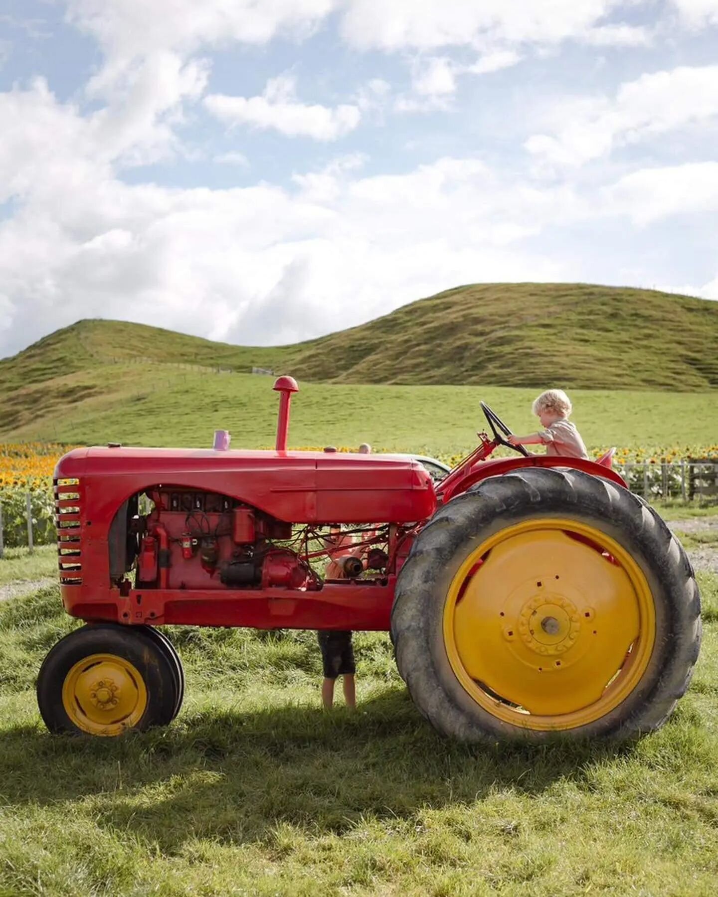 These old Tractors have been an absolute hit with all our visitors this year. We have been lucky enough to borrow two of these beauties from our neighbour's collection. They are going home on Monday and we will be sad to see them go, so come have a p