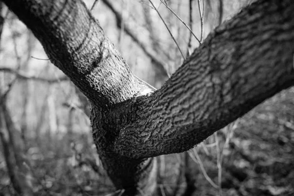 XP2 Sample 4.jpg