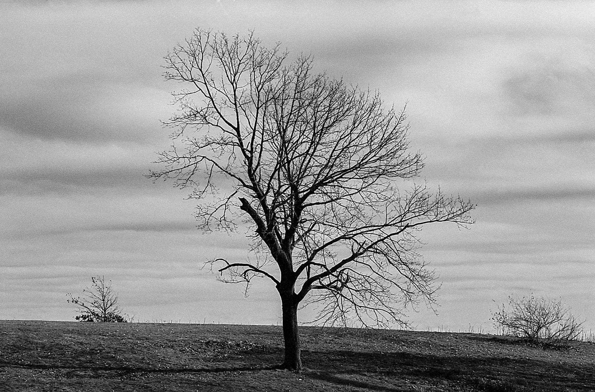 XP2 Sample 3.jpg