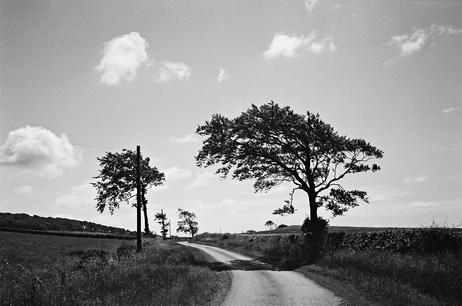 XP2 Sample 2.jpg