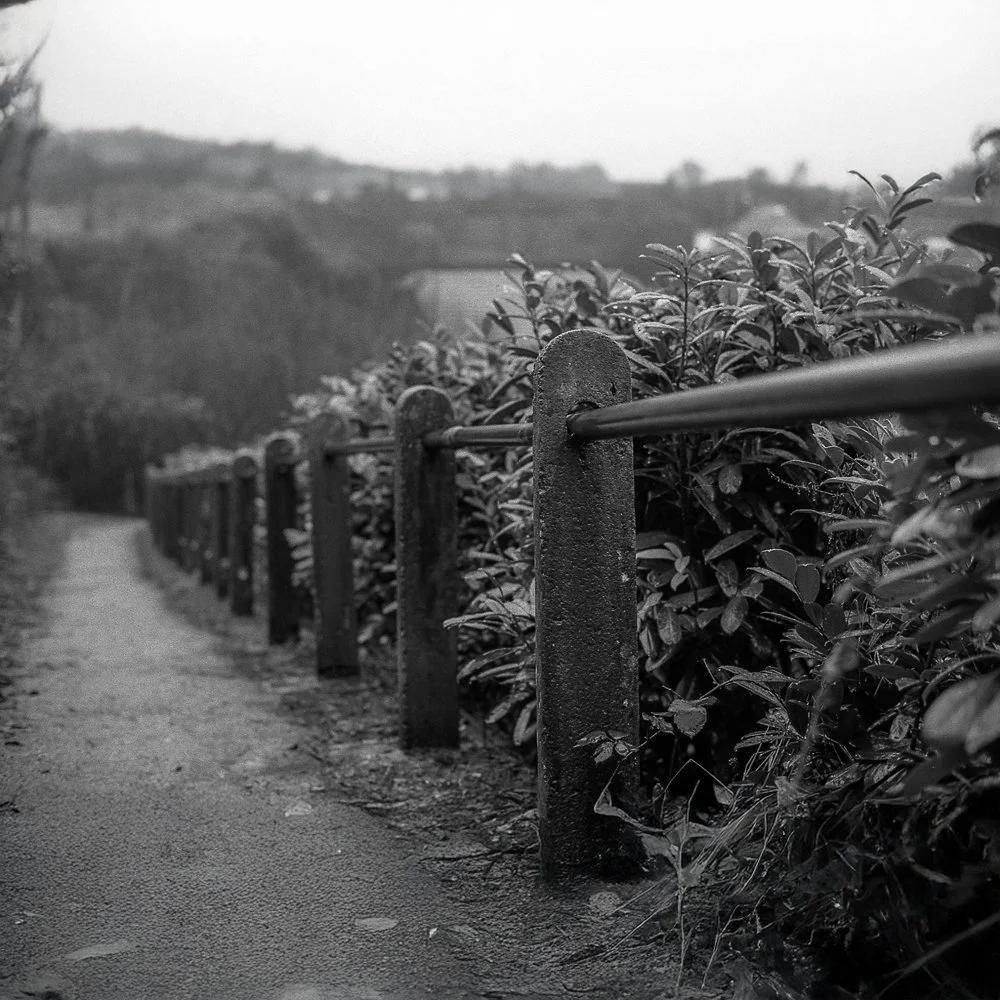 Ilford Ortho 80 120.jpg