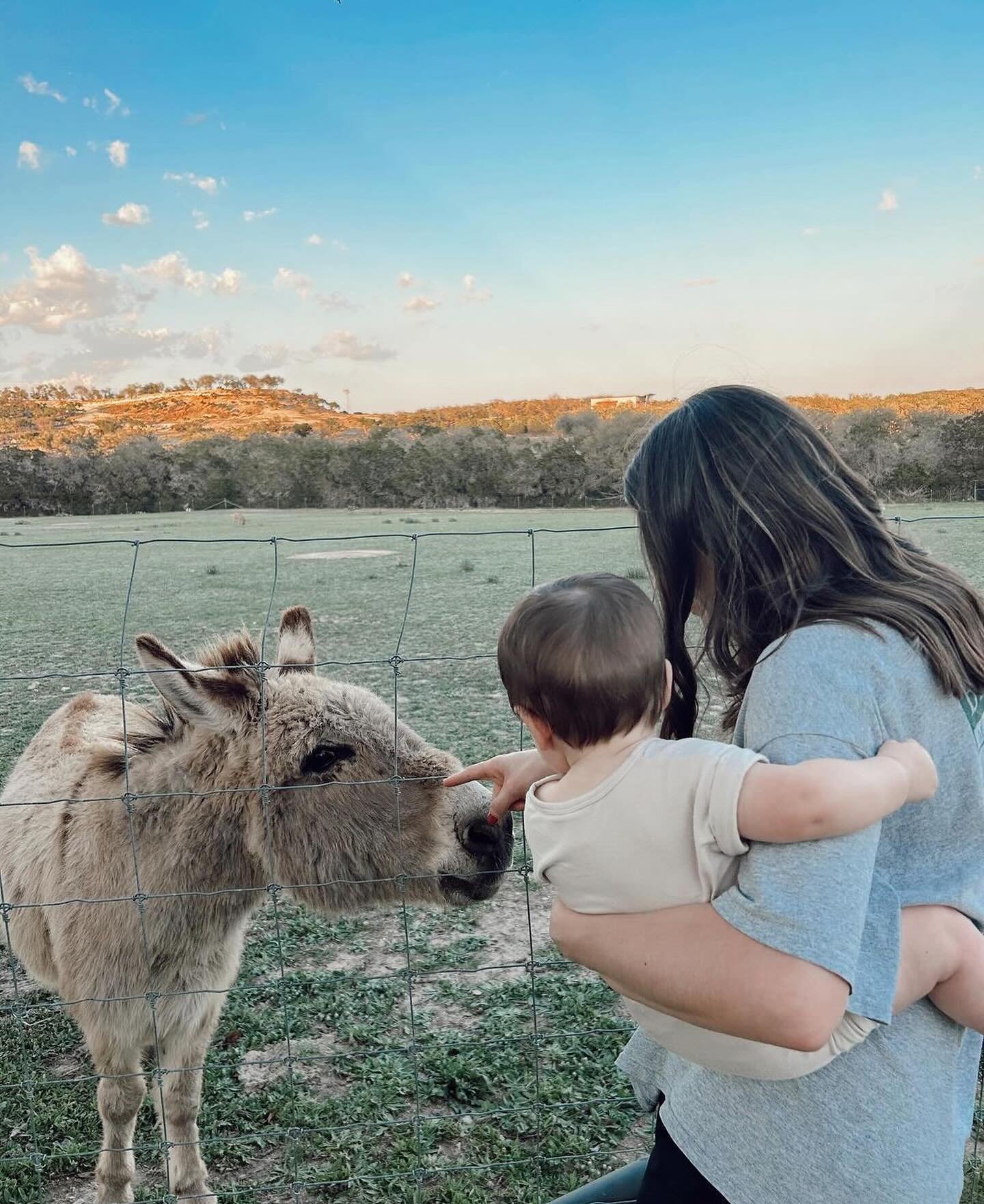 Making friends with the sweet donkeys at Cedar Haus 💗 Thanks for sharing these snap from your stay @theofficialtorivega_!