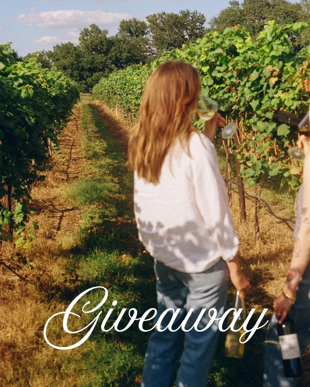 🎁🎄HOLIDAY GIVEAWAY 🎁🎄

In the spirit of Christmas being just one week away, we are giving away a full Porch Light experience to one lucky winner! Win a $300 Porch Light gift card + a $100 gift voucher toward a wine tour with our sister company @p