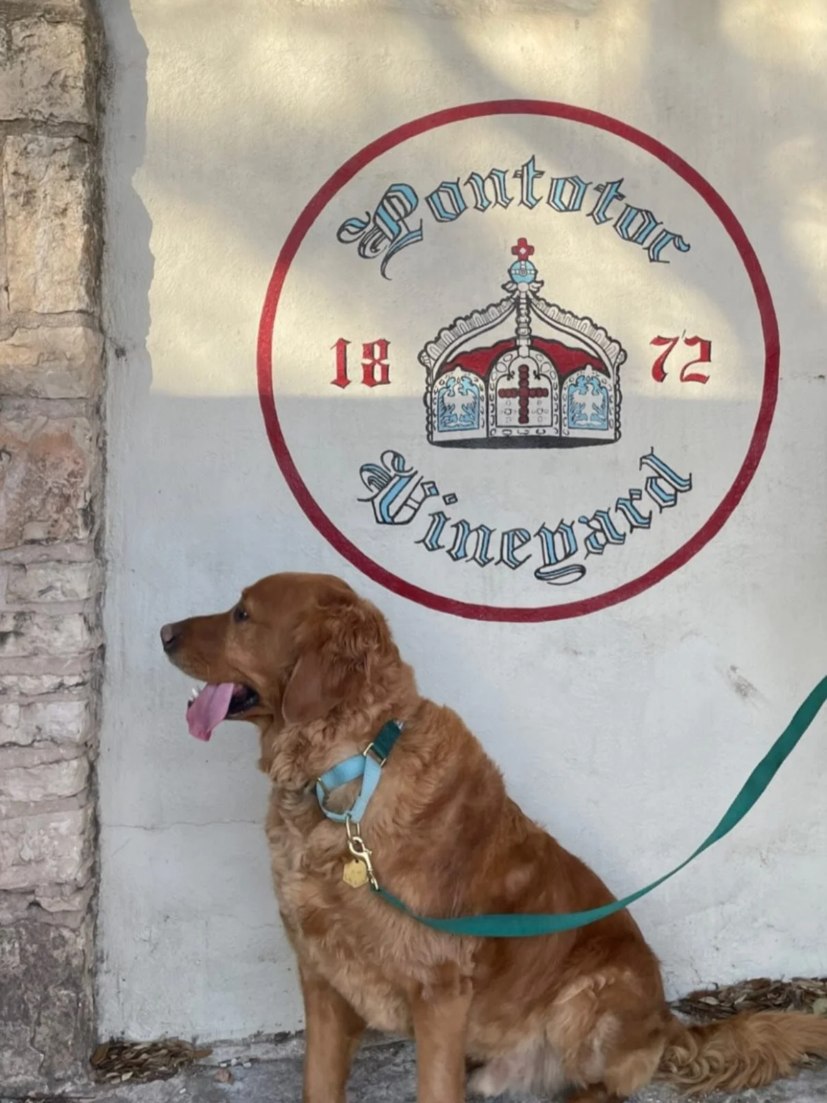 A pet friendly stay at Porch Light + a sunny afternoon on Pontotoc&rsquo;s patio? Already dreaming of happy hours there!

Book your spring getaway at the link in our bio!