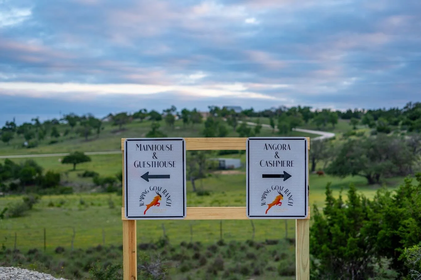 Meet Cashmere at Jumping Goat Ranch: calm mornings, cozy textures, and wide-open Hill Country views that slow everything down.