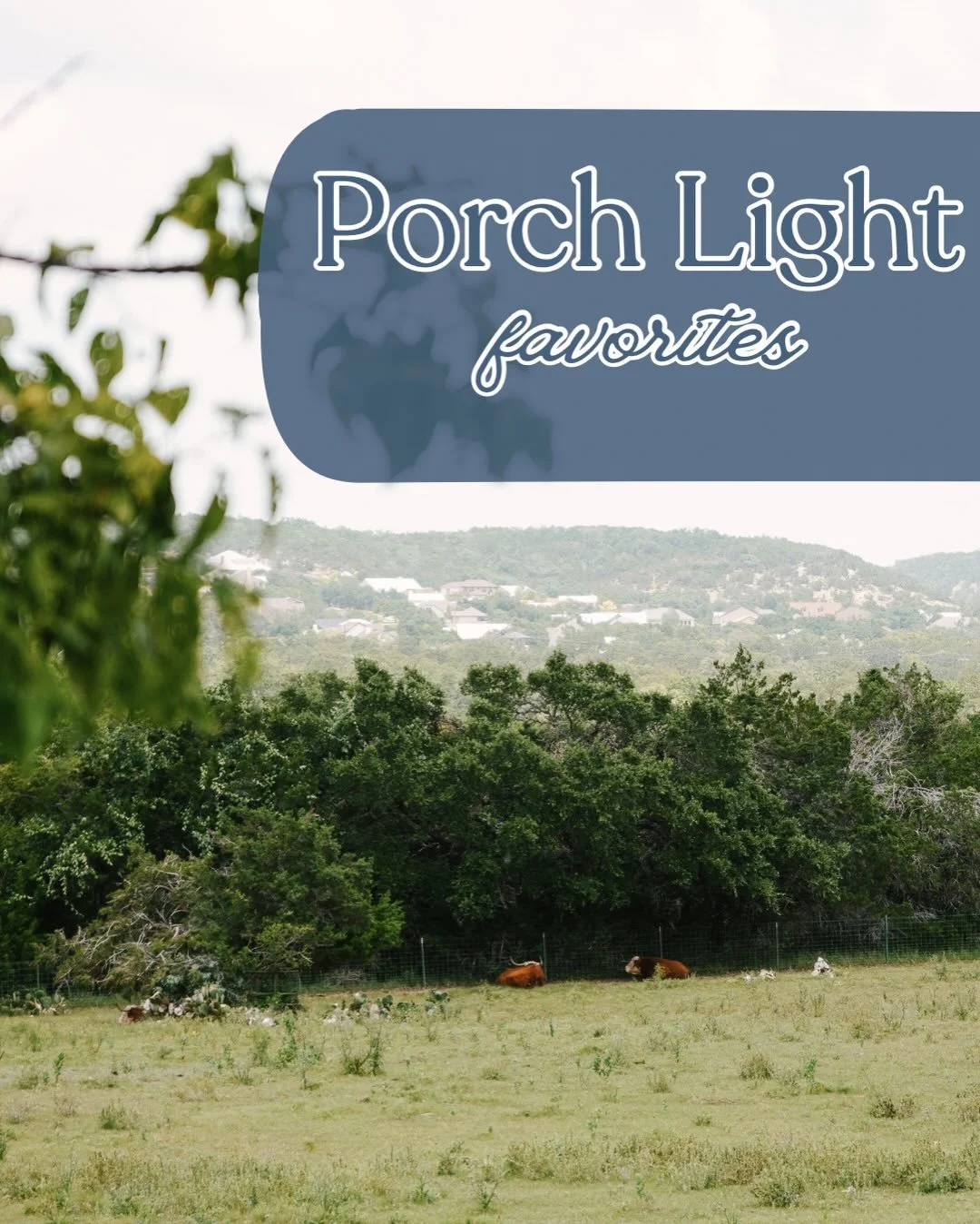 A few of our family&rsquo;s must-haves this month ☀️

Revive Organics Juicery for a fresh start, Rock Haus Coffee for slow mornings, and the Sure Shot Coffee Truck for a quick pick-me-up on the go. These little local joys are what make home feel like