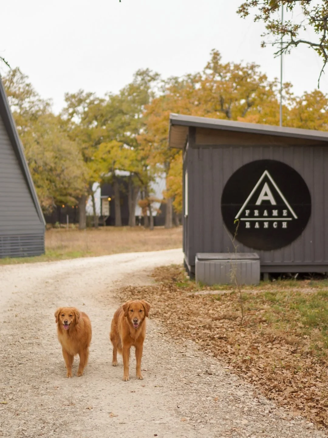 In our latest newsletter roundup, we shared a look at our dog-friendly stay giveaway, introduced our newest property opening this May at the Fischer &amp; Wieser Farmstead, and highlighted a few spring moments we&rsquo;re loving around the Hill Count