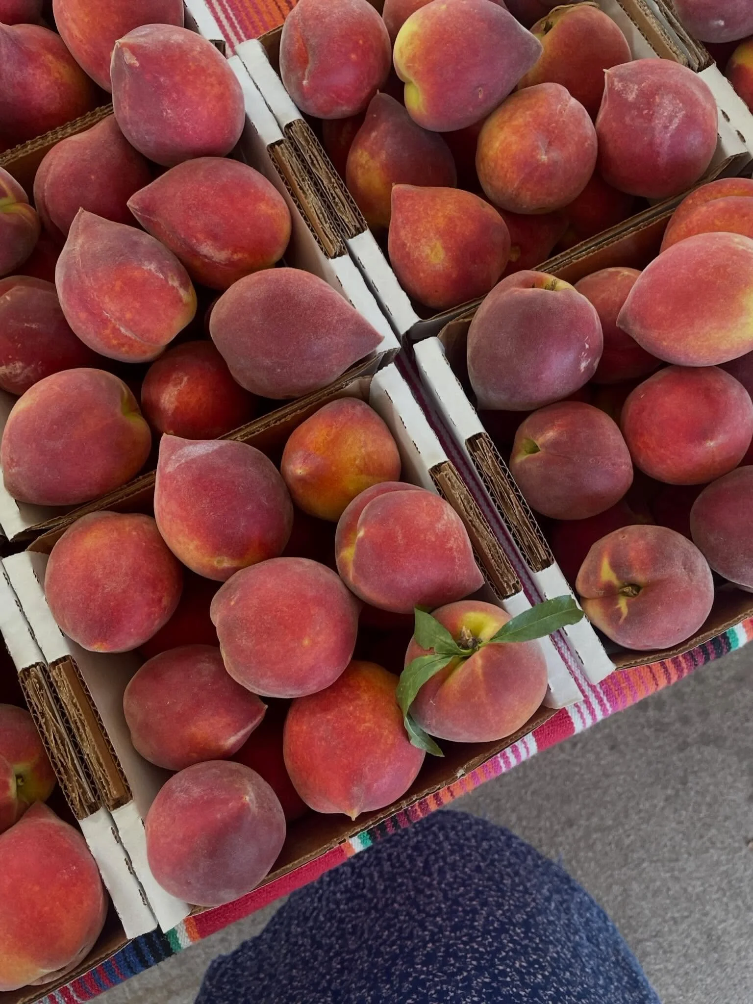 Fresh peaches, local finds, incredible food, Hill Country views, and a cozy place to come back to at the end of the day.

Just another weekend in Fredericksburg ✨