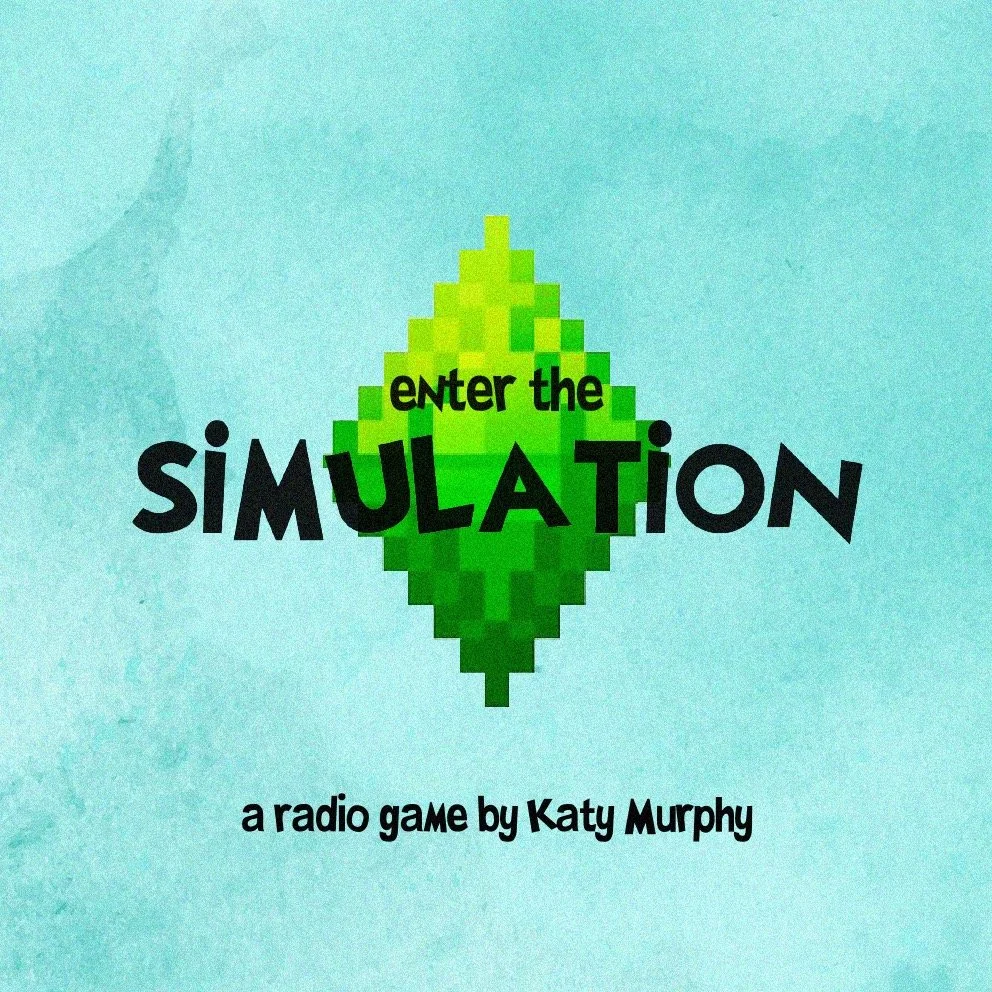 enter the simulation poster.jpeg