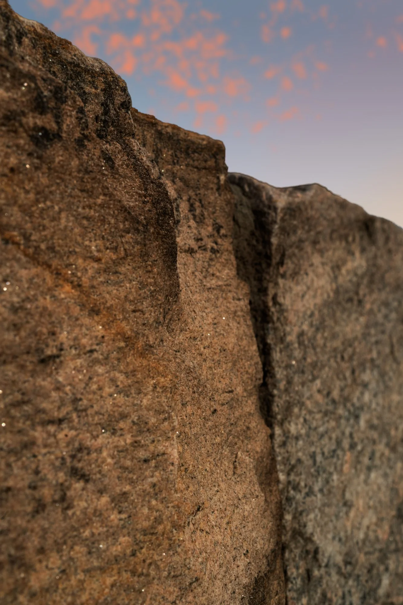 DSC03599-Edit copy.jpg