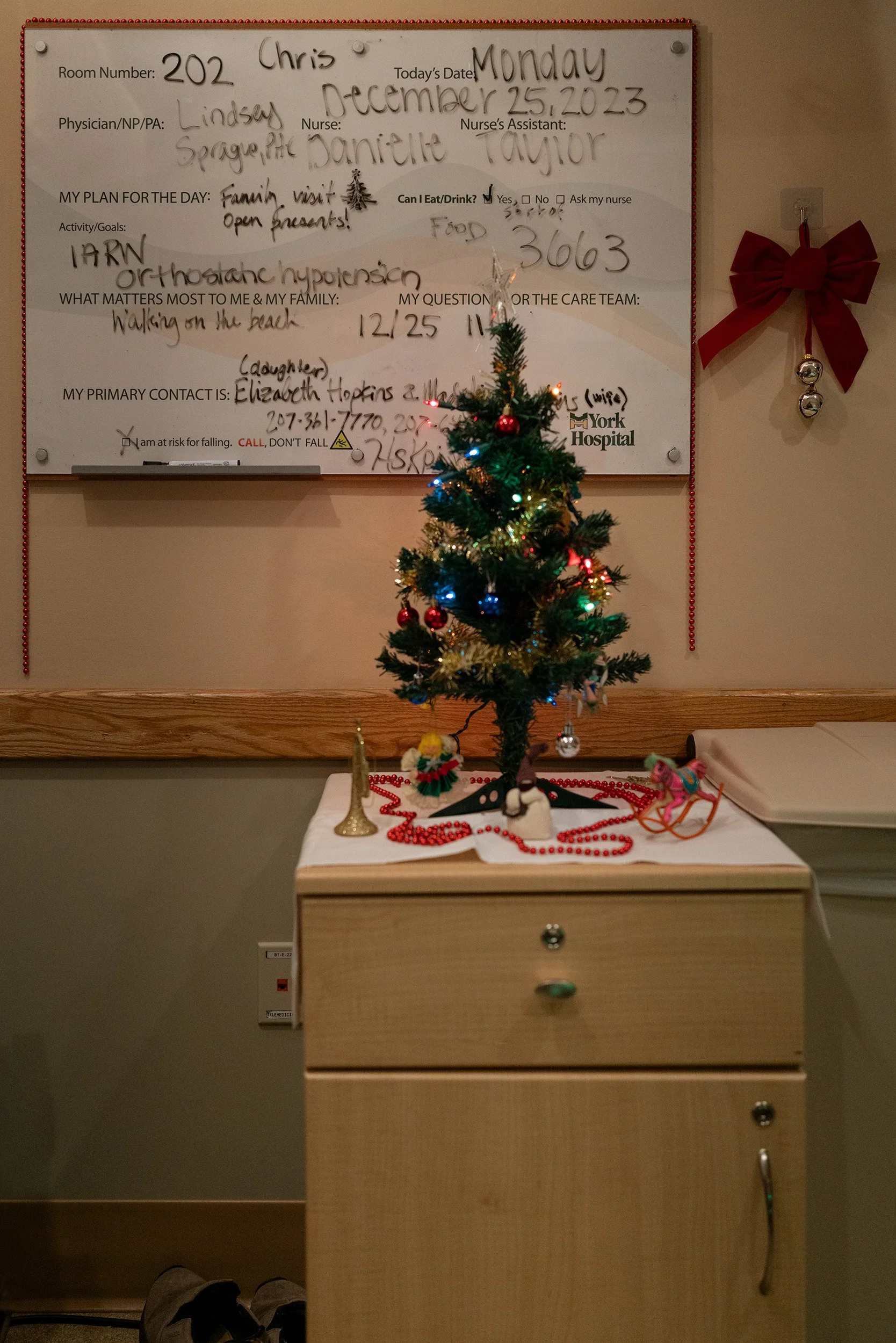 Hopkins_Elizabeth_ChristmasDay_08.jpg