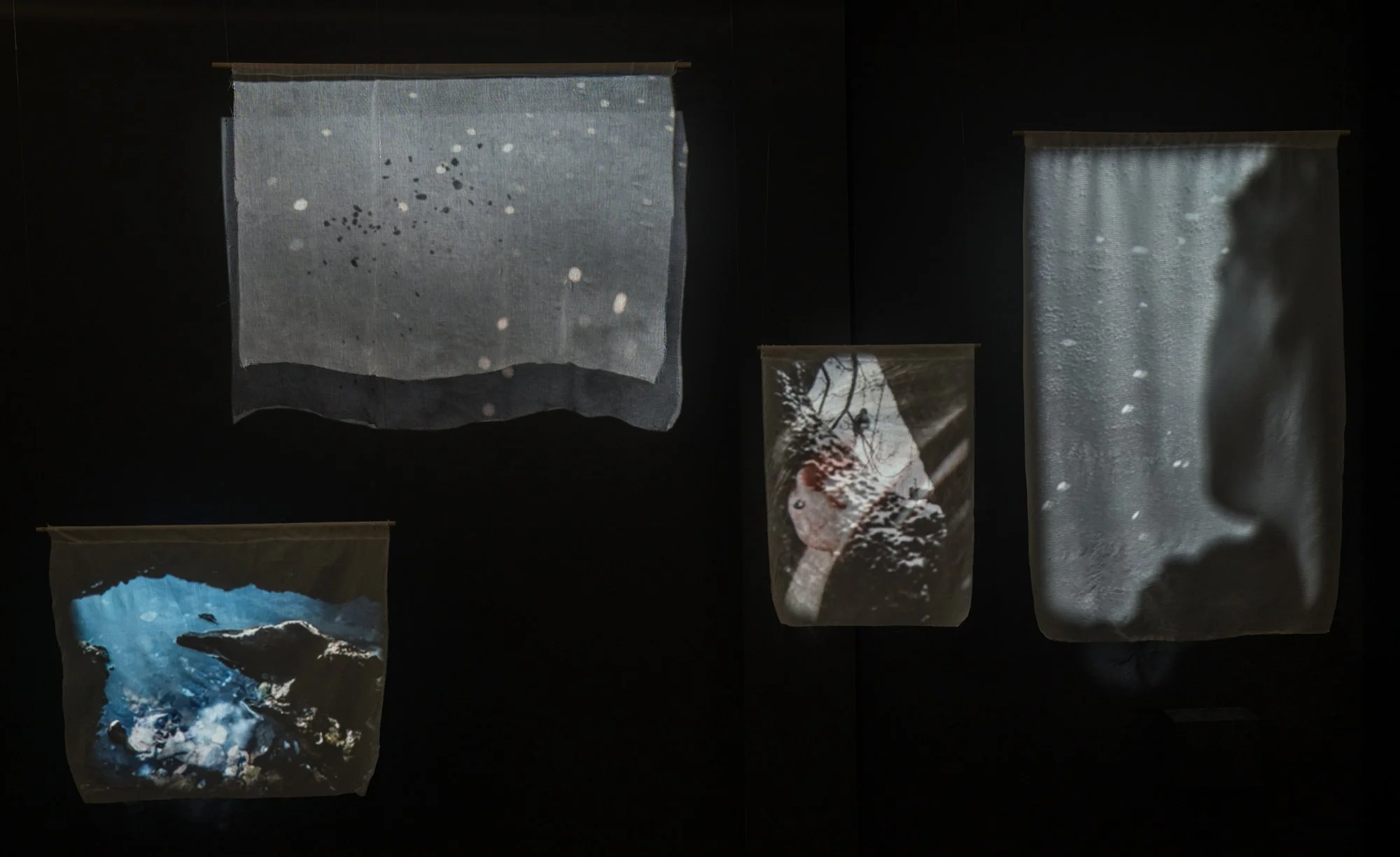 "The Water Will Carry Us," MassArt x SoWa Gallery, 2025