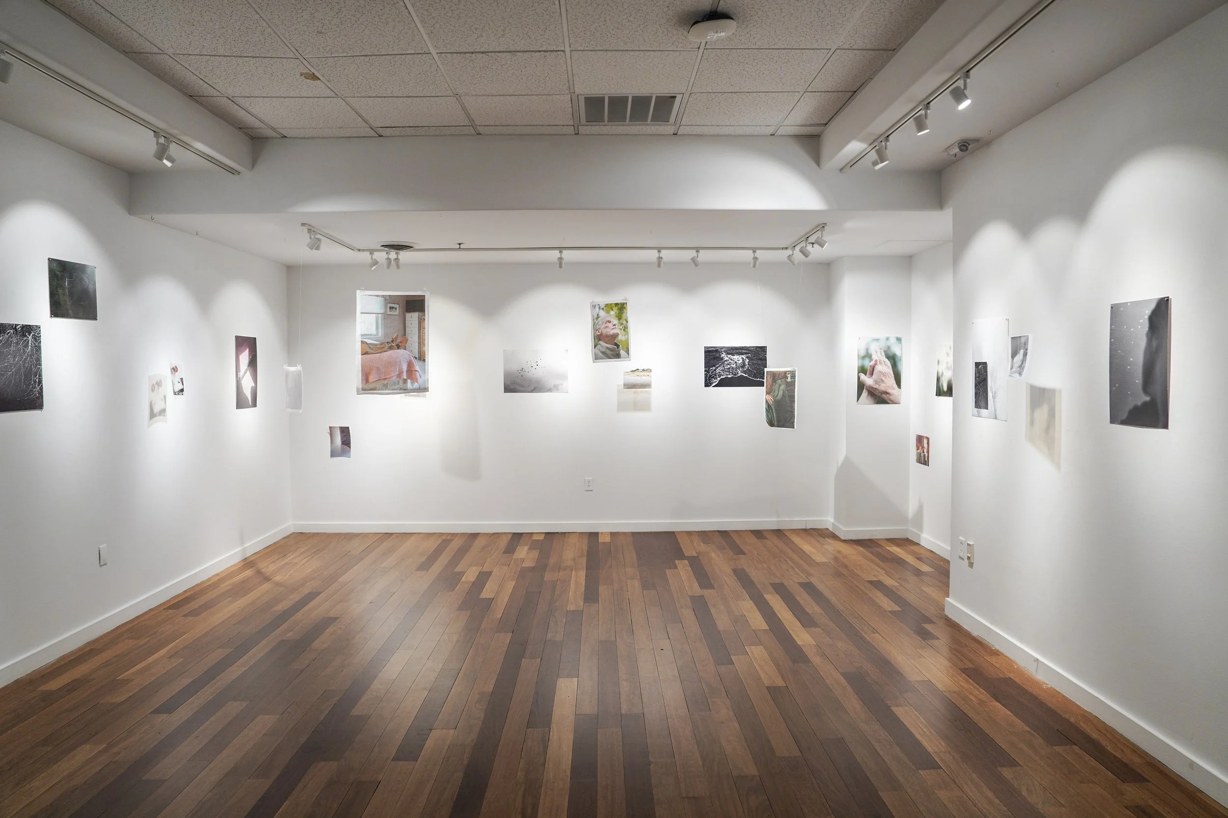 2025 PRC Artist-in-Residence, VanDernoot Gallery, 2025 (documentation by Catherine LeComte Lecce)