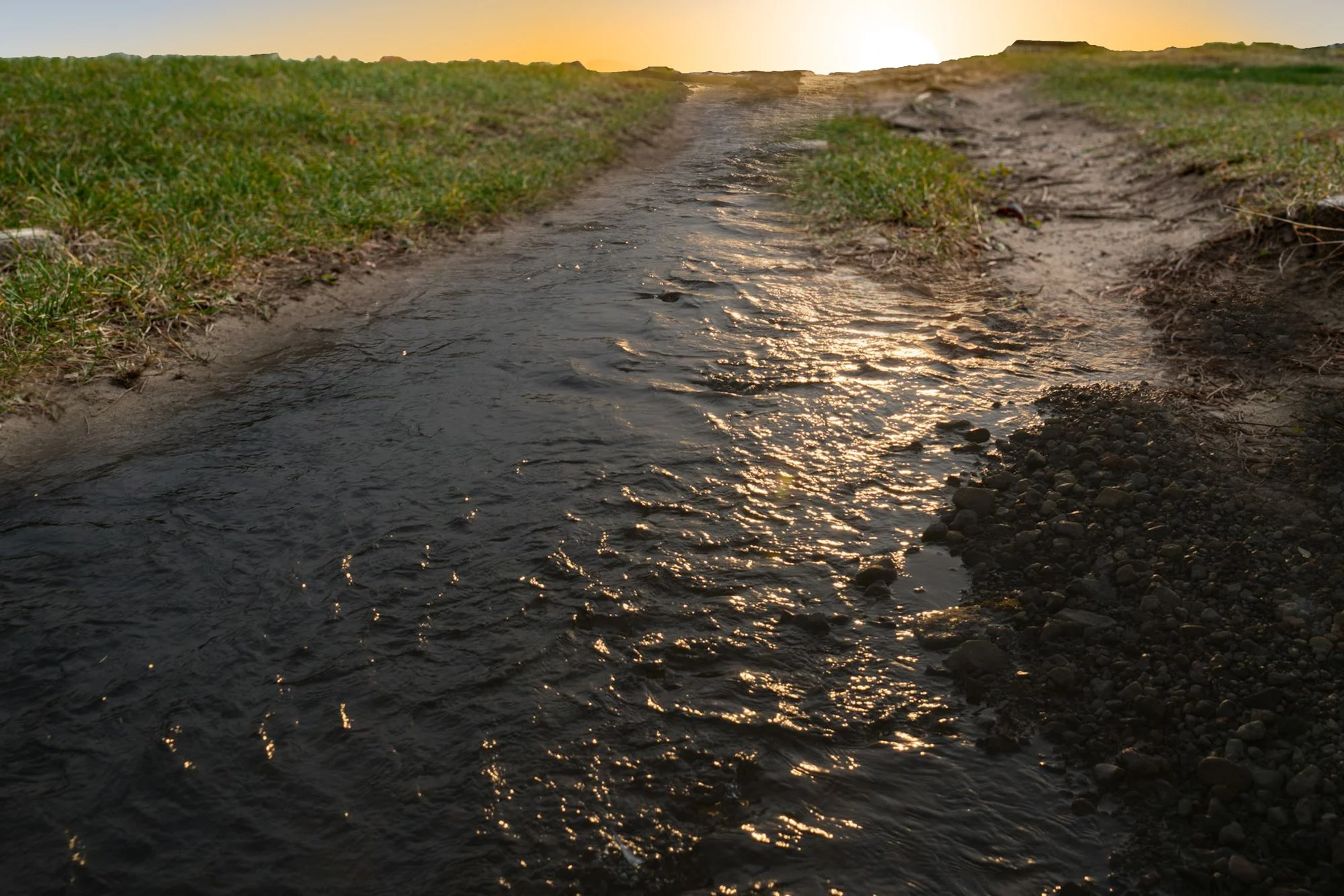 DSC03580-Edit copy.jpg