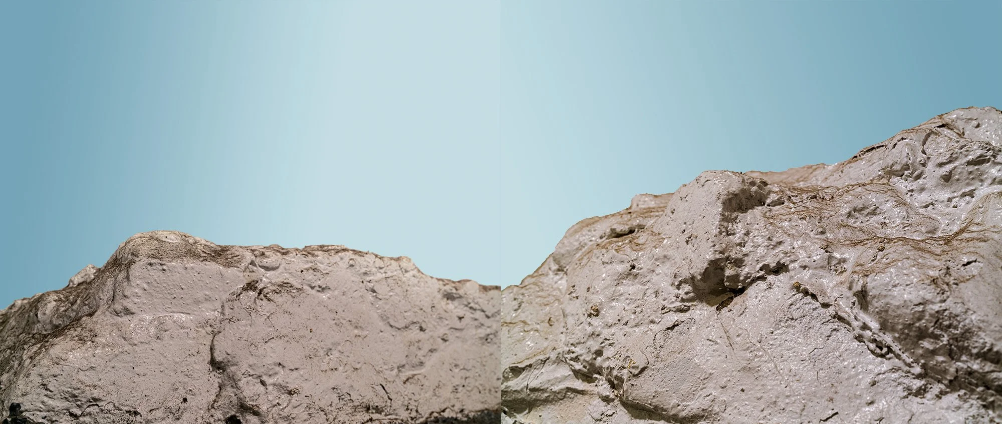 2 landscapes together.jpg