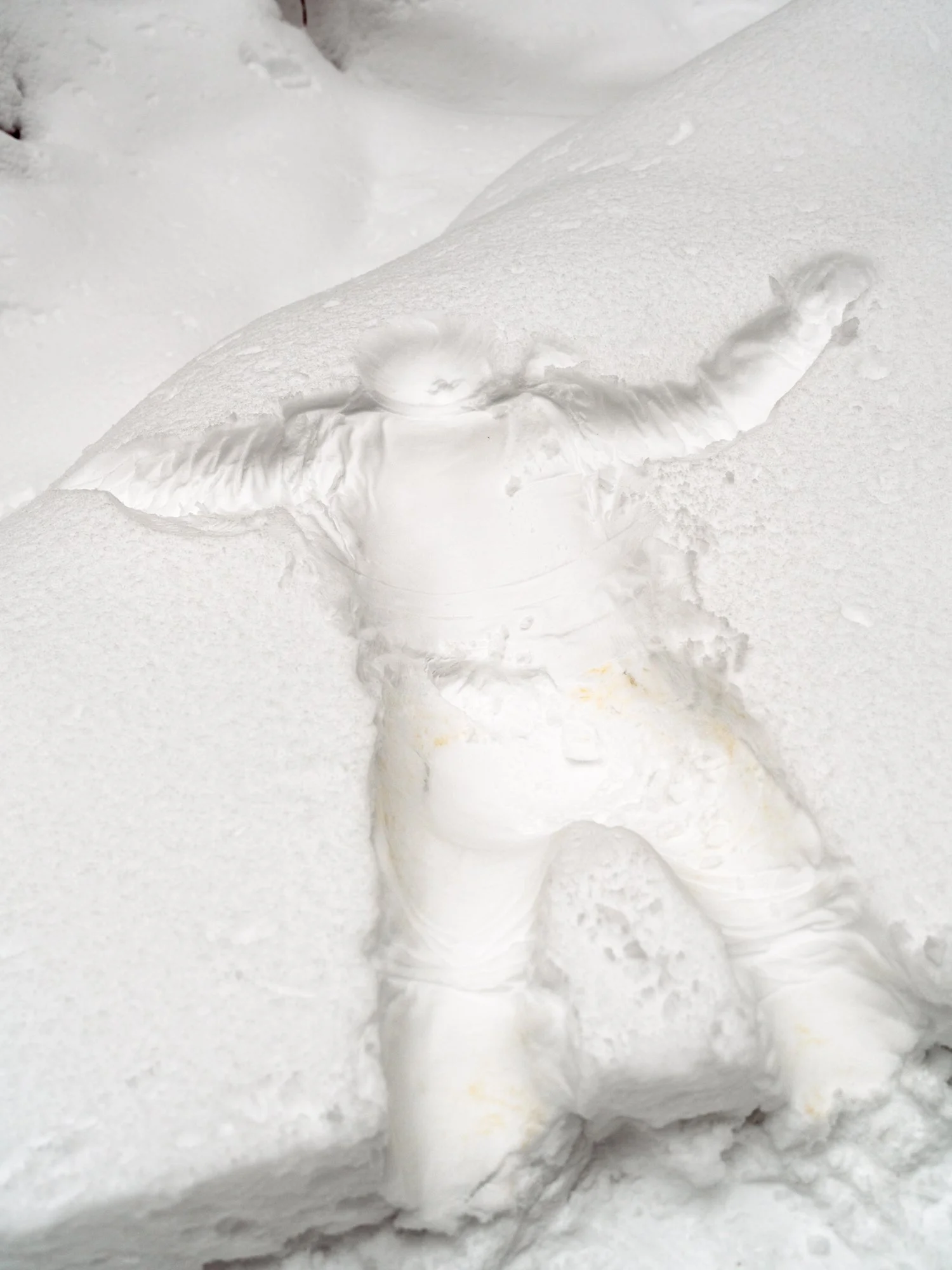 Hopkins_First Snowfall_2026.jpg