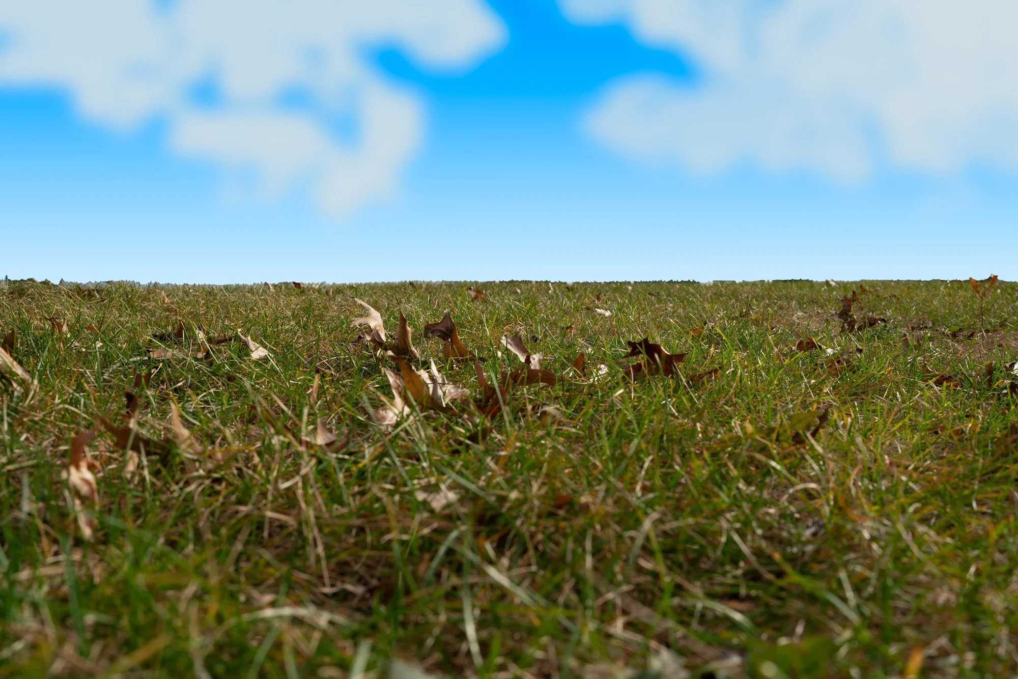 DSC03569-Edit copy.jpg