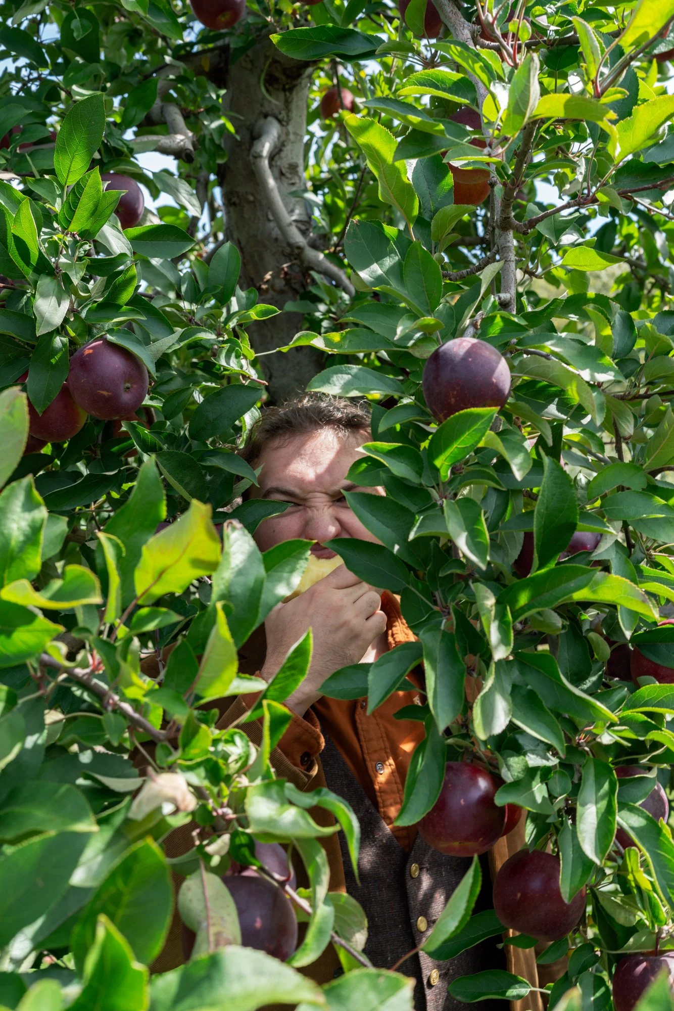 Hopkins_ApplePicking_2026.jpg