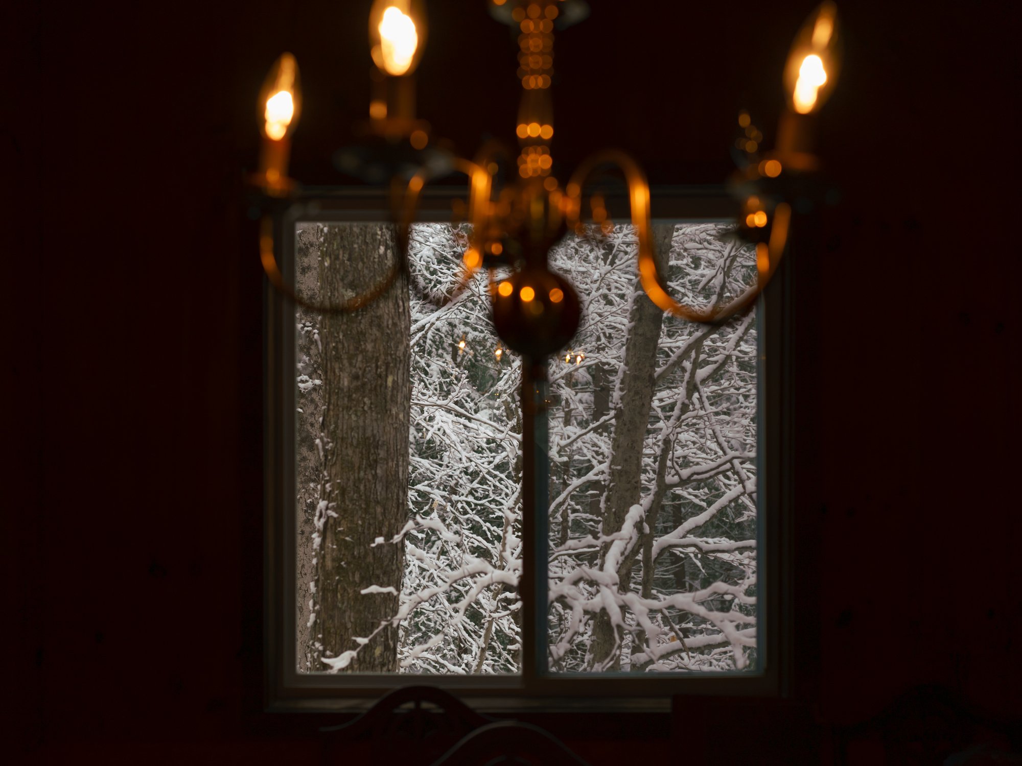 Hopkins_View from the Kitchen_2023.jpg