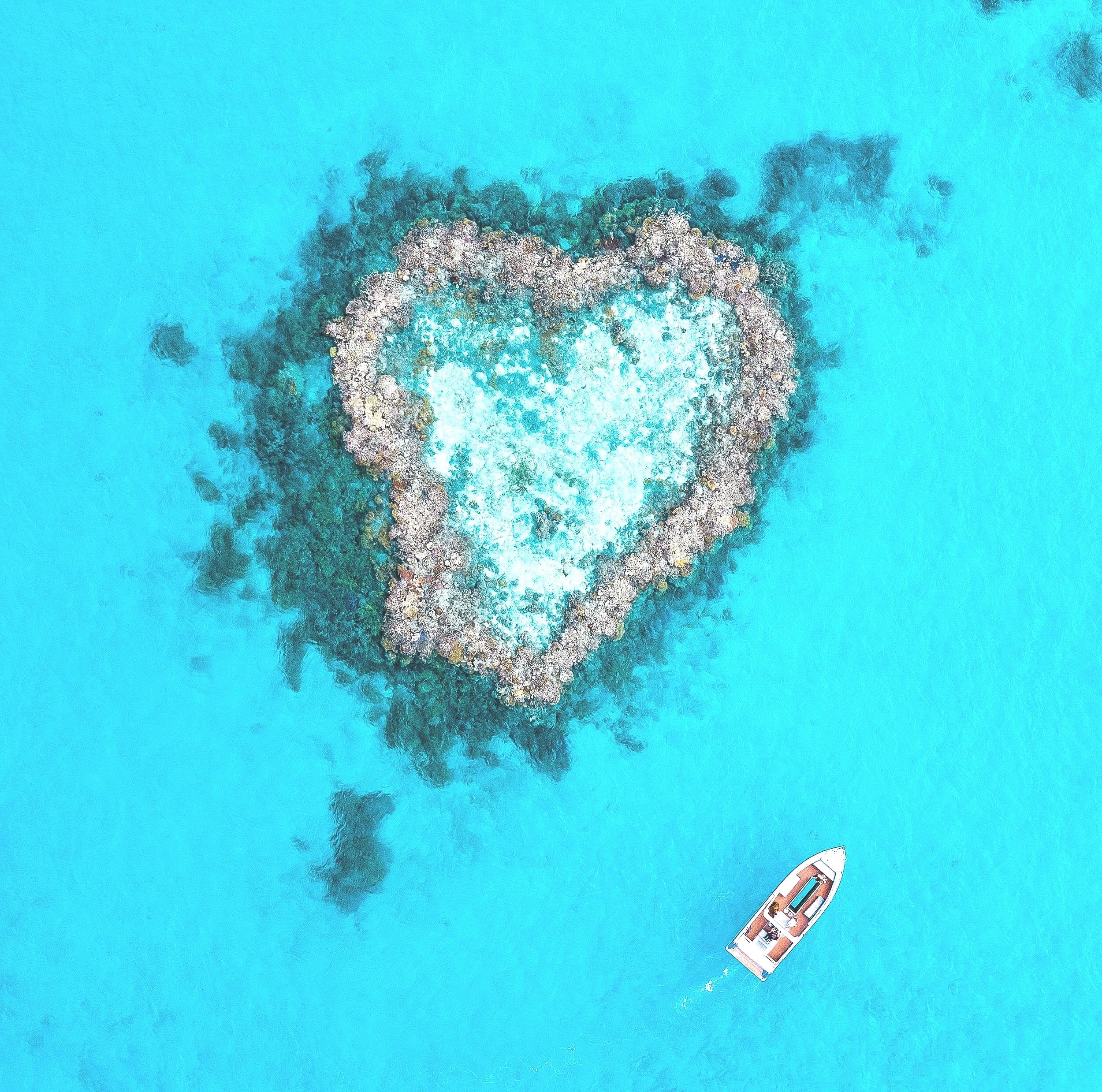 20190819-Hamilton-Island-Race-Week-Heart-Reef-photo-Robbie-Josephsen0004.jpg